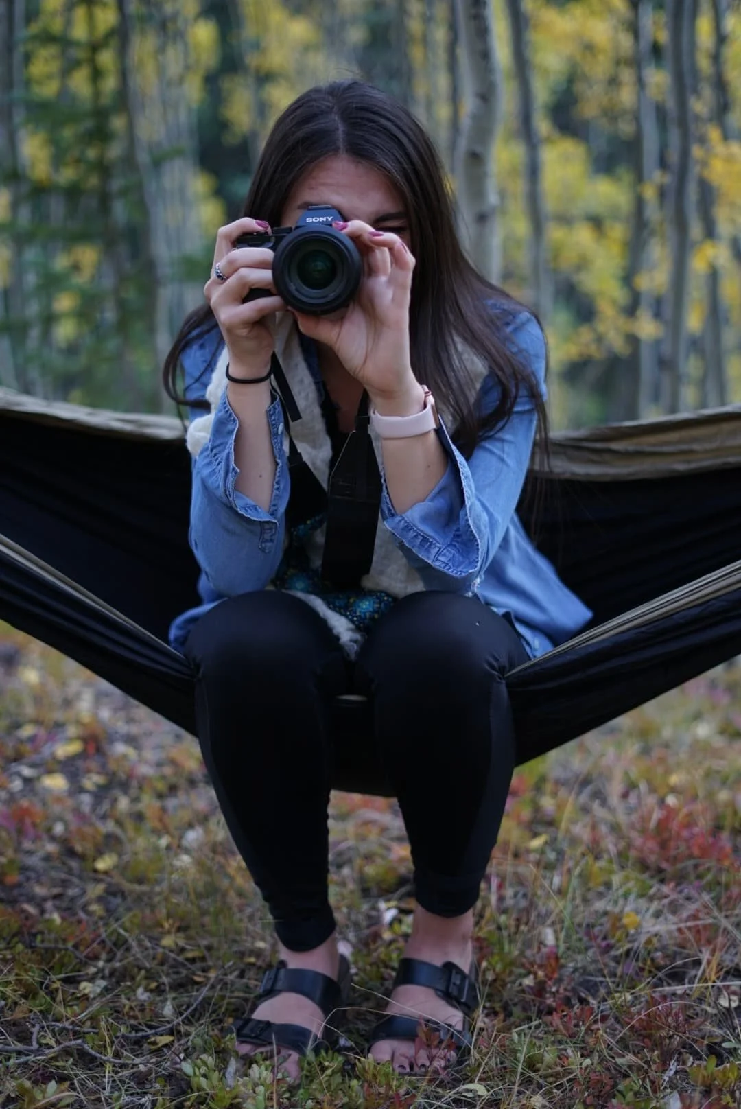 Shooting from a hammock in the aspens