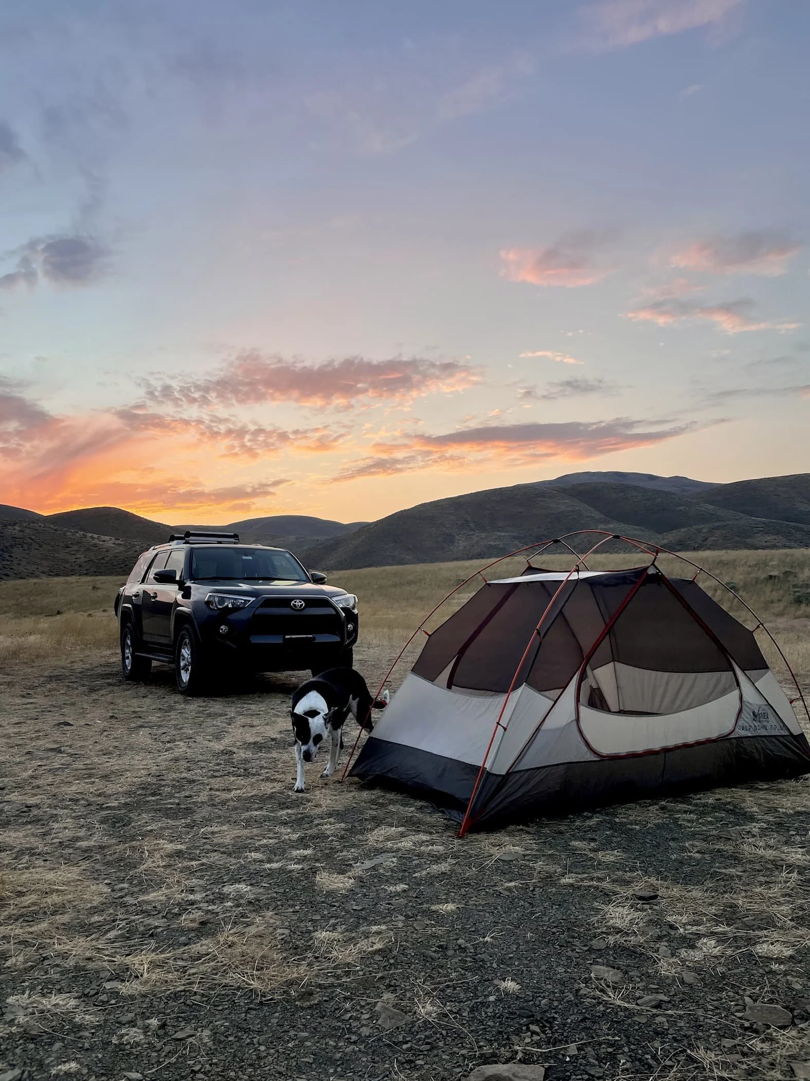 Camping in the desert with the dog