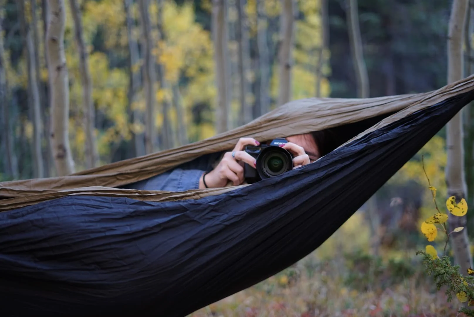 Shooting camera from a hammock in the aspens