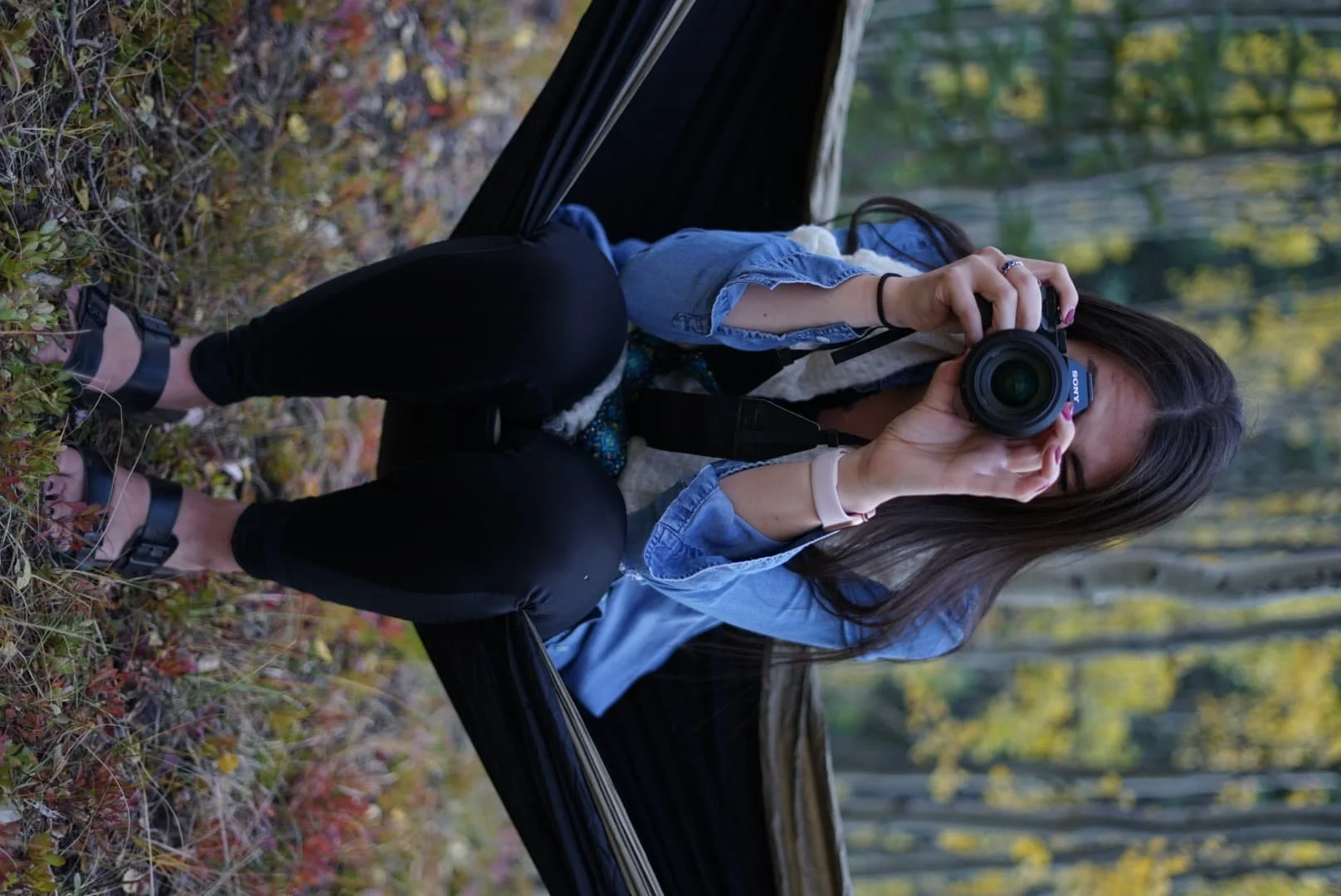 Shooting from a hammock in the aspens