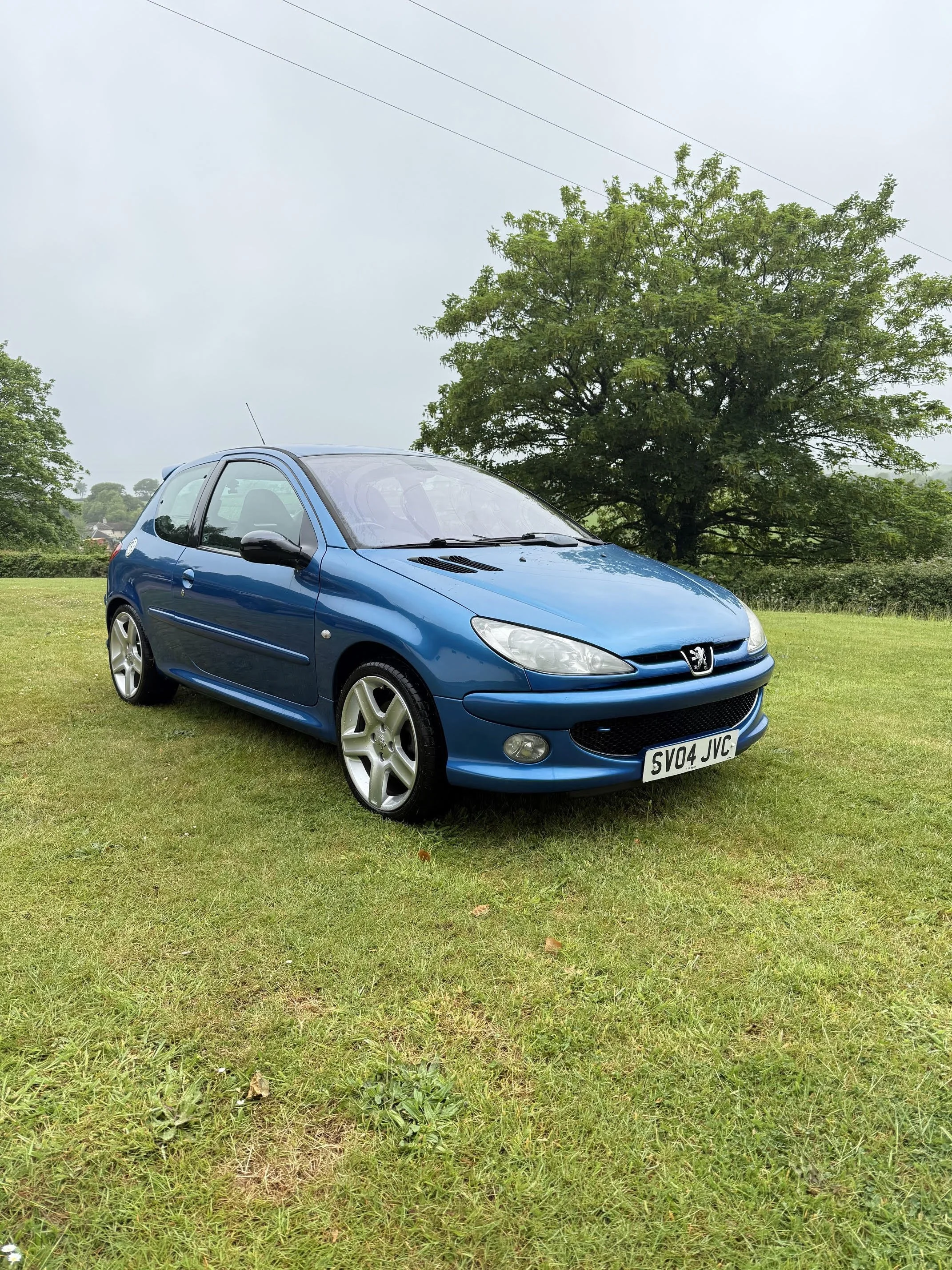 2004 Peugeot 206 GTi 180 in metallic blue