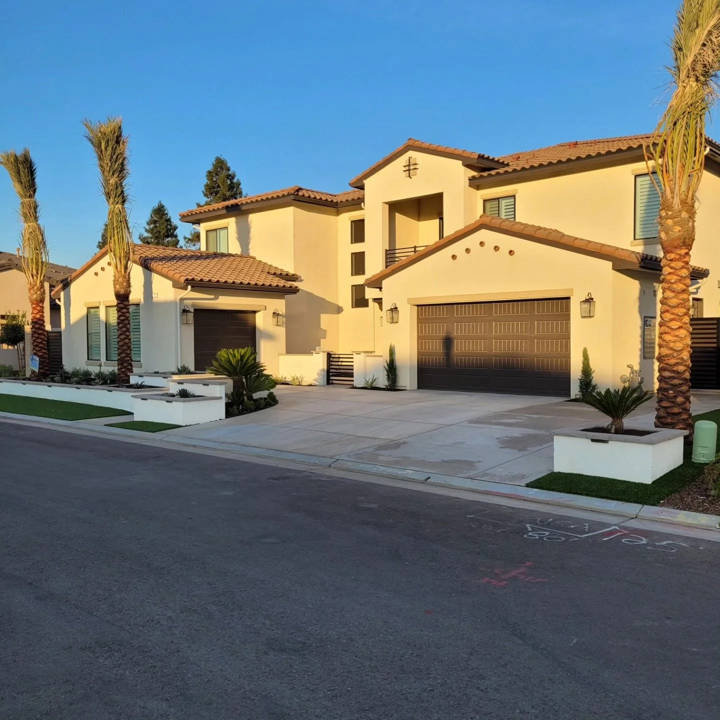 Palms trimmed and skirted along a front yard fence by Specialty Landscape