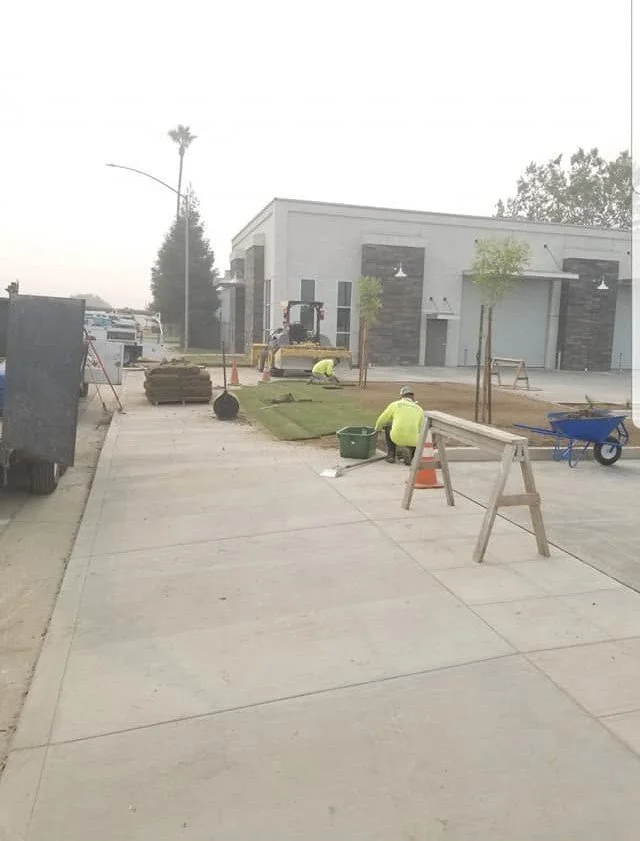 Specialty Landscape crew laying fresh sod at a commercial property