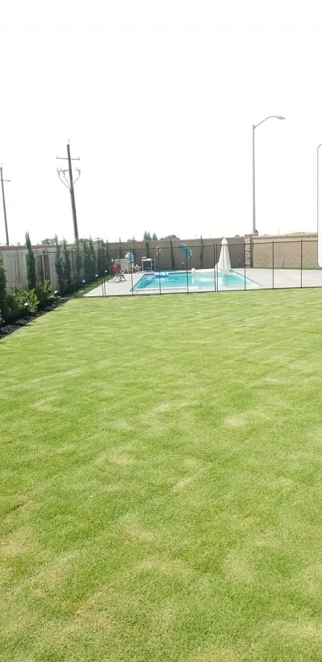 Backyard lawn beside a swimming pool maintained by Specialty Landscape