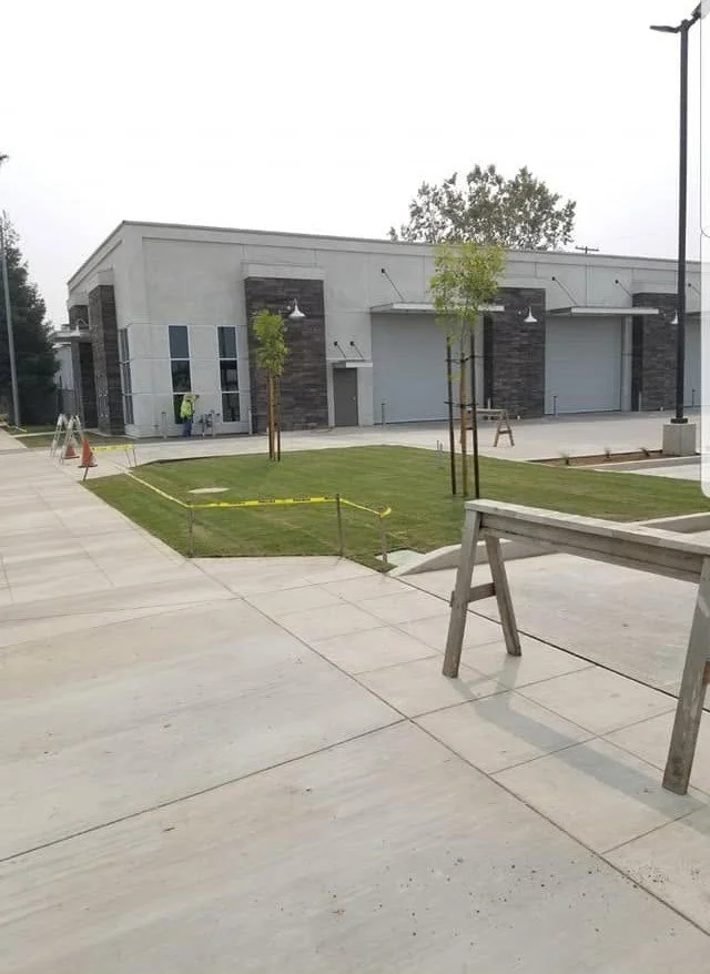 Commercial walkway and fresh sod at a Visalia business property by Specialty Landscape