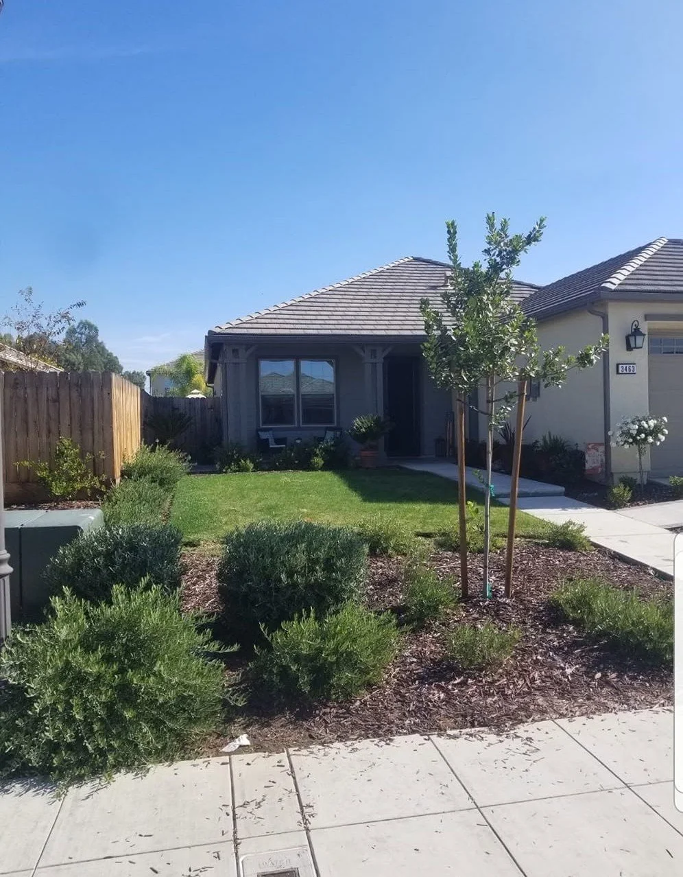 New front yard landscape design with a fresh sod lawn and young trees by Specialty Landscape