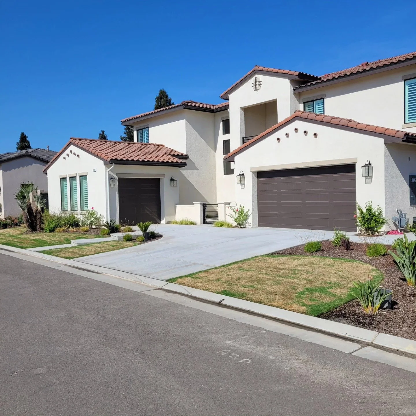 Front yard lawn and planting under mature trees by Specialty Landscape
