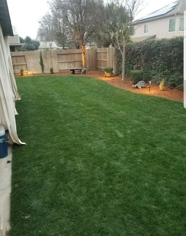 Freshly mown backyard lawn kept up by Specialty Landscape