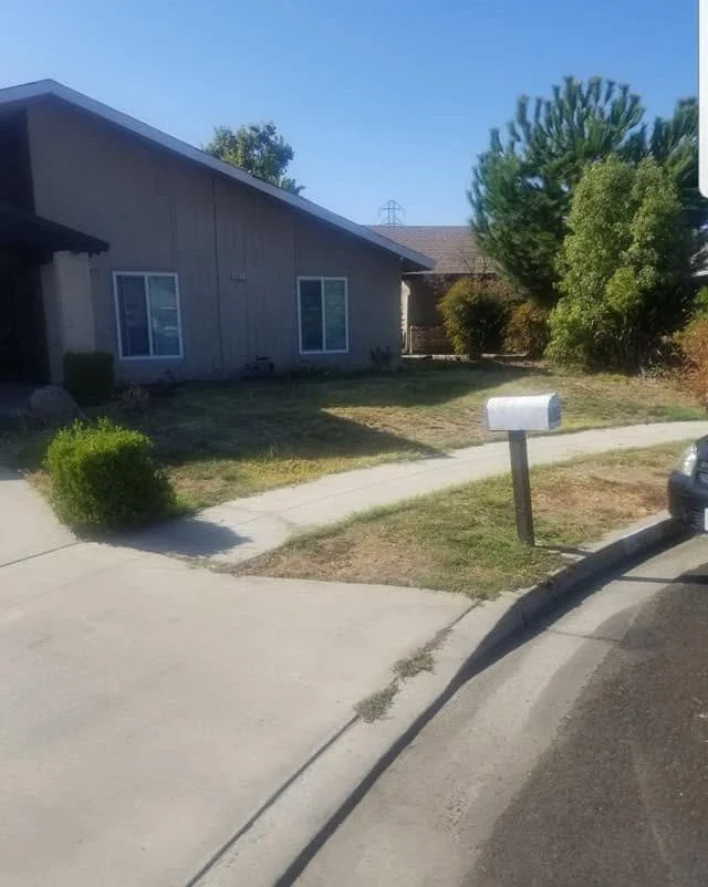 Front lawn and mailbox bed trimmed on a Specialty Landscape yard maintenance visit