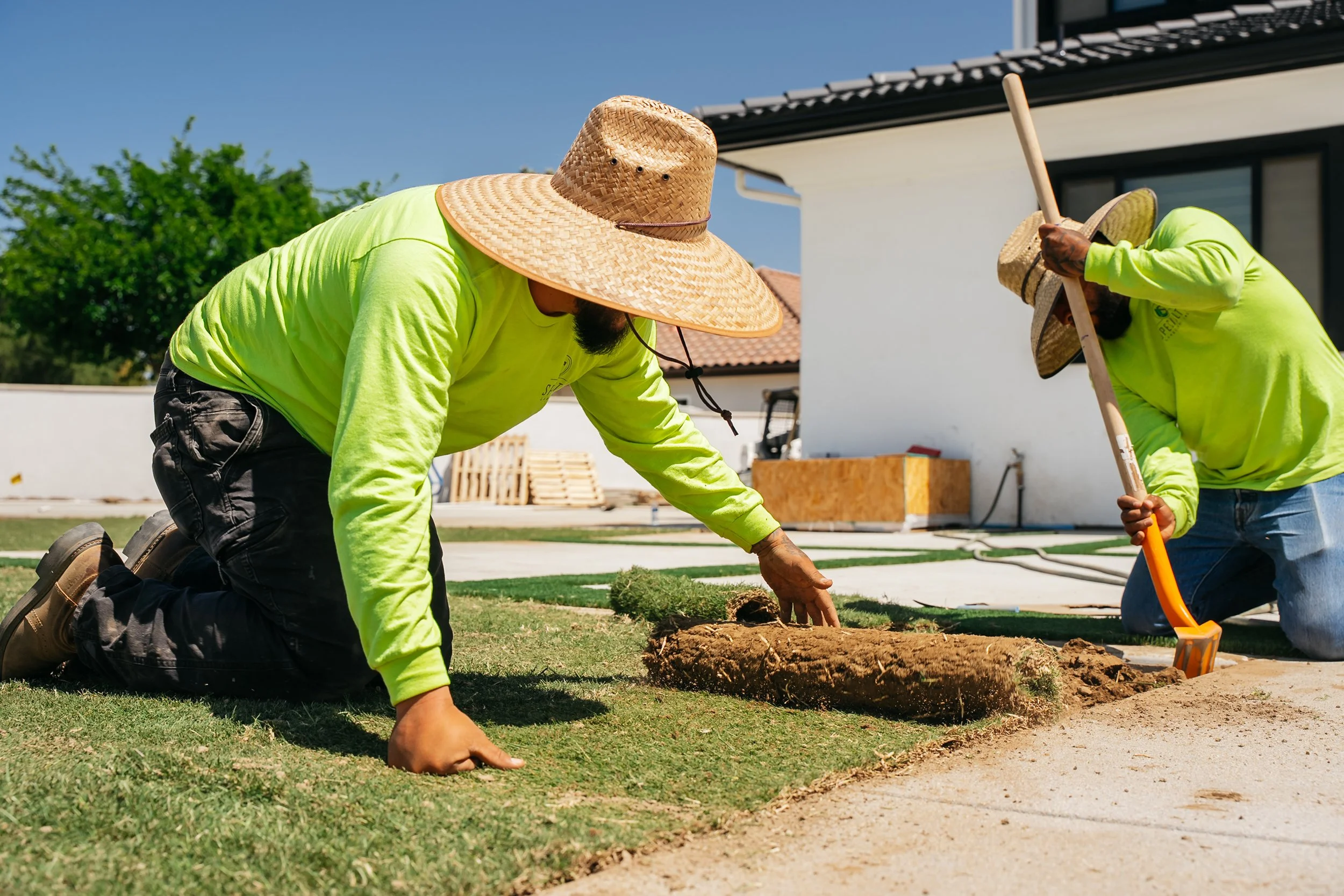 Specialty Landscape crew member laying fresh sod along a concrete edge