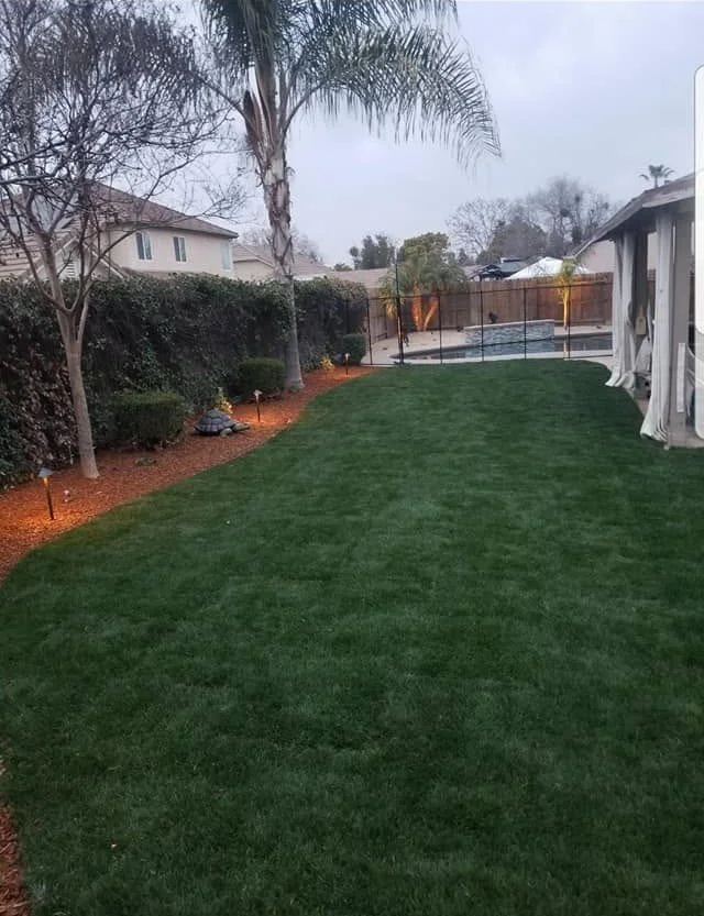 Mowed lawn along a wood fence line kept up by Specialty Landscape yard maintenance