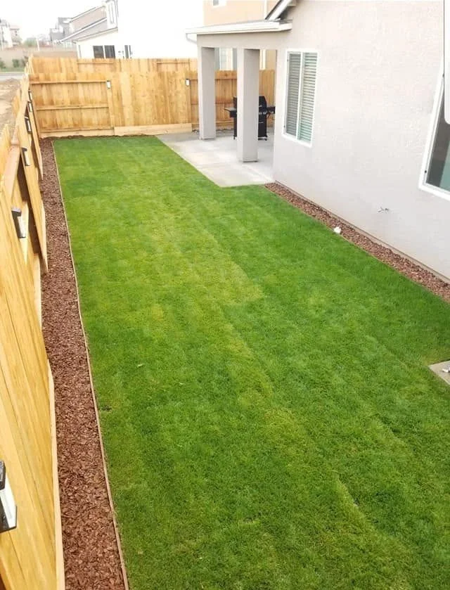 Trimmed lawn strip and fresh mulch bed maintained by Specialty Landscape