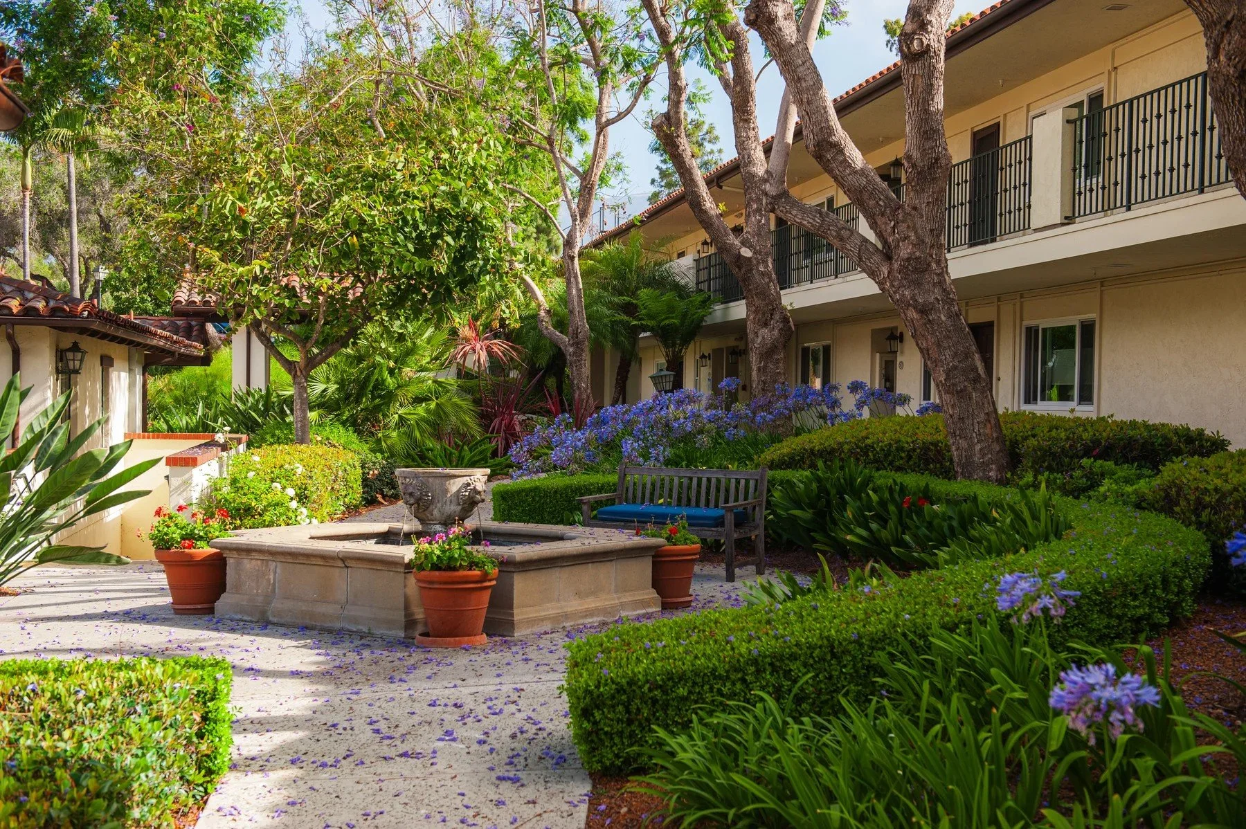 Shaded seating courtyard with blue flowers, clipped hedges, and mature trees at Samarkand