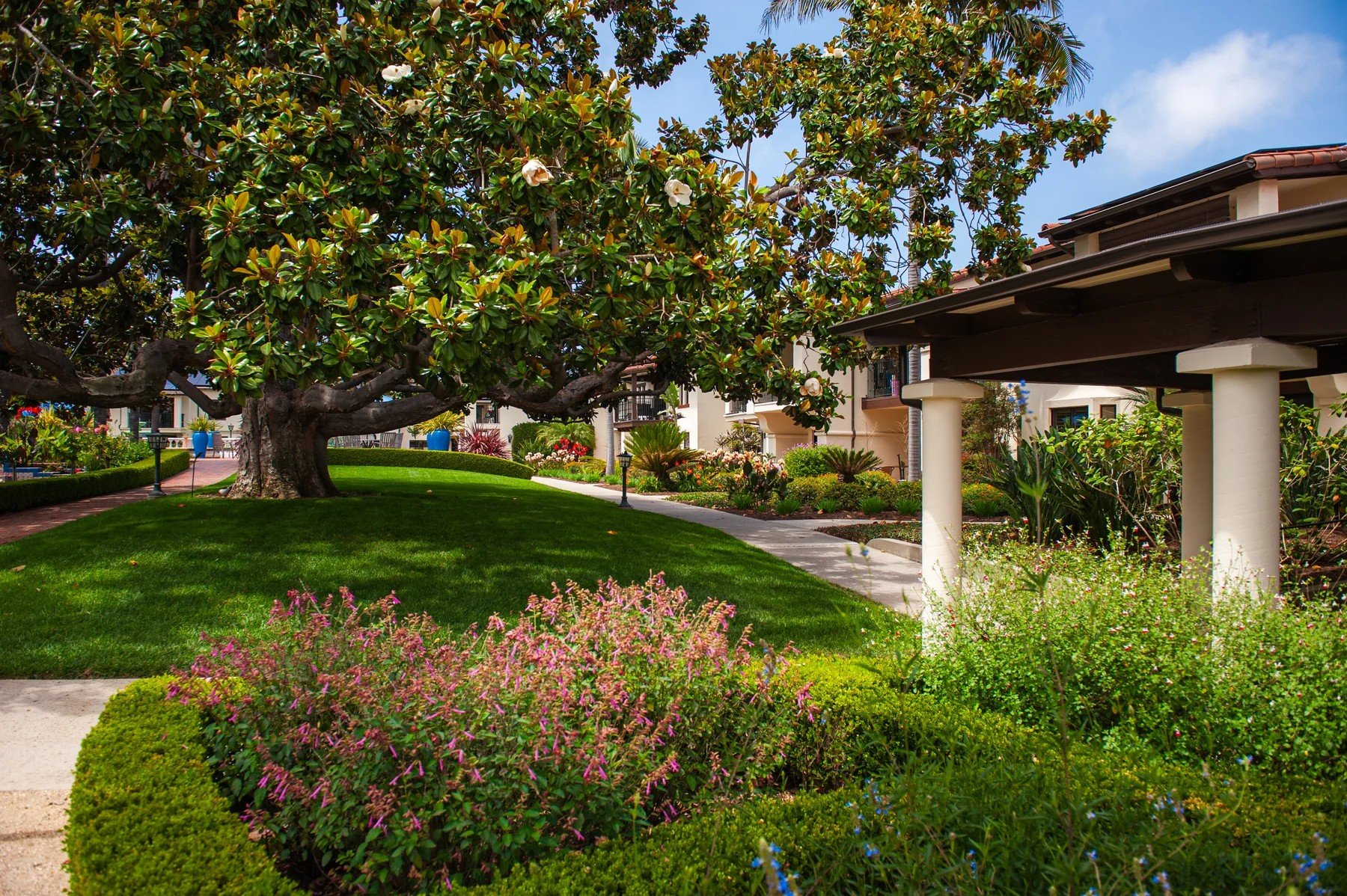 A flowering garden bed beside lawns and a mature tree near Samarkand residences