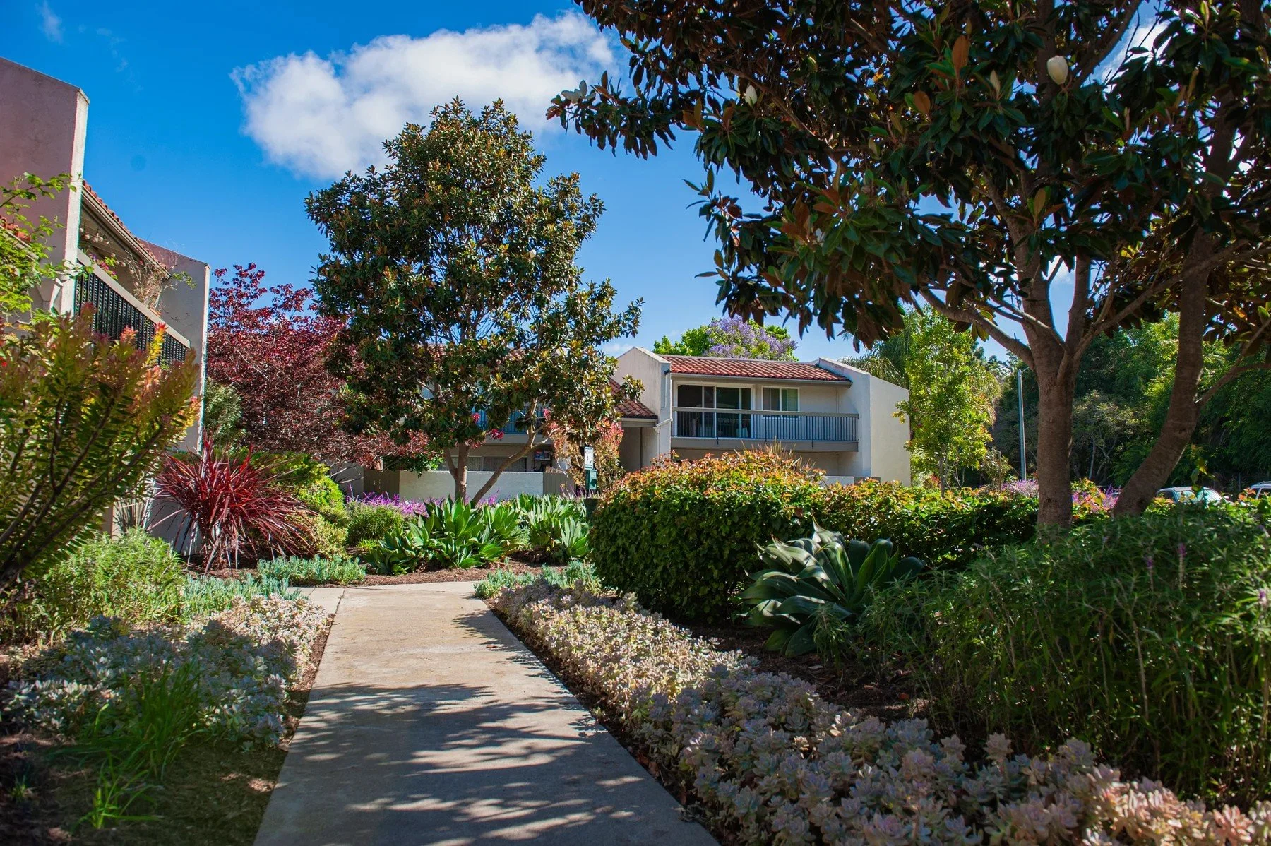 A garden path edged with stones and clipped hedges at La Goleta