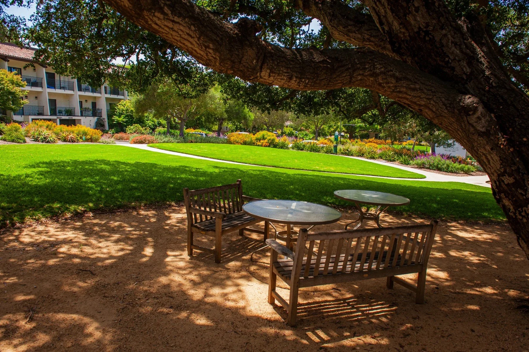 Garden seating beneath a spreading tree overlooking the Samarkand lawns