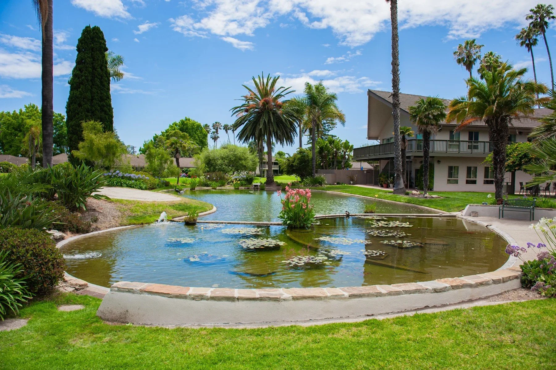 Pond surrounded by palms, planting, and lawns at Encina Royale