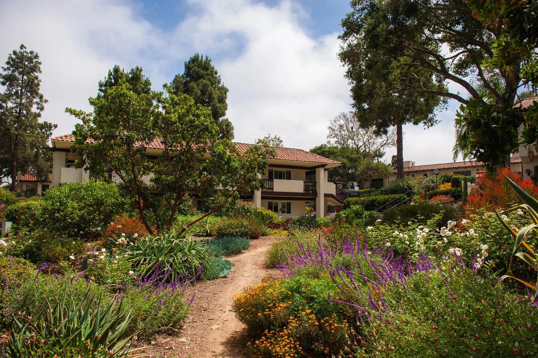 Layered garden planting and a curved path at Samarkand