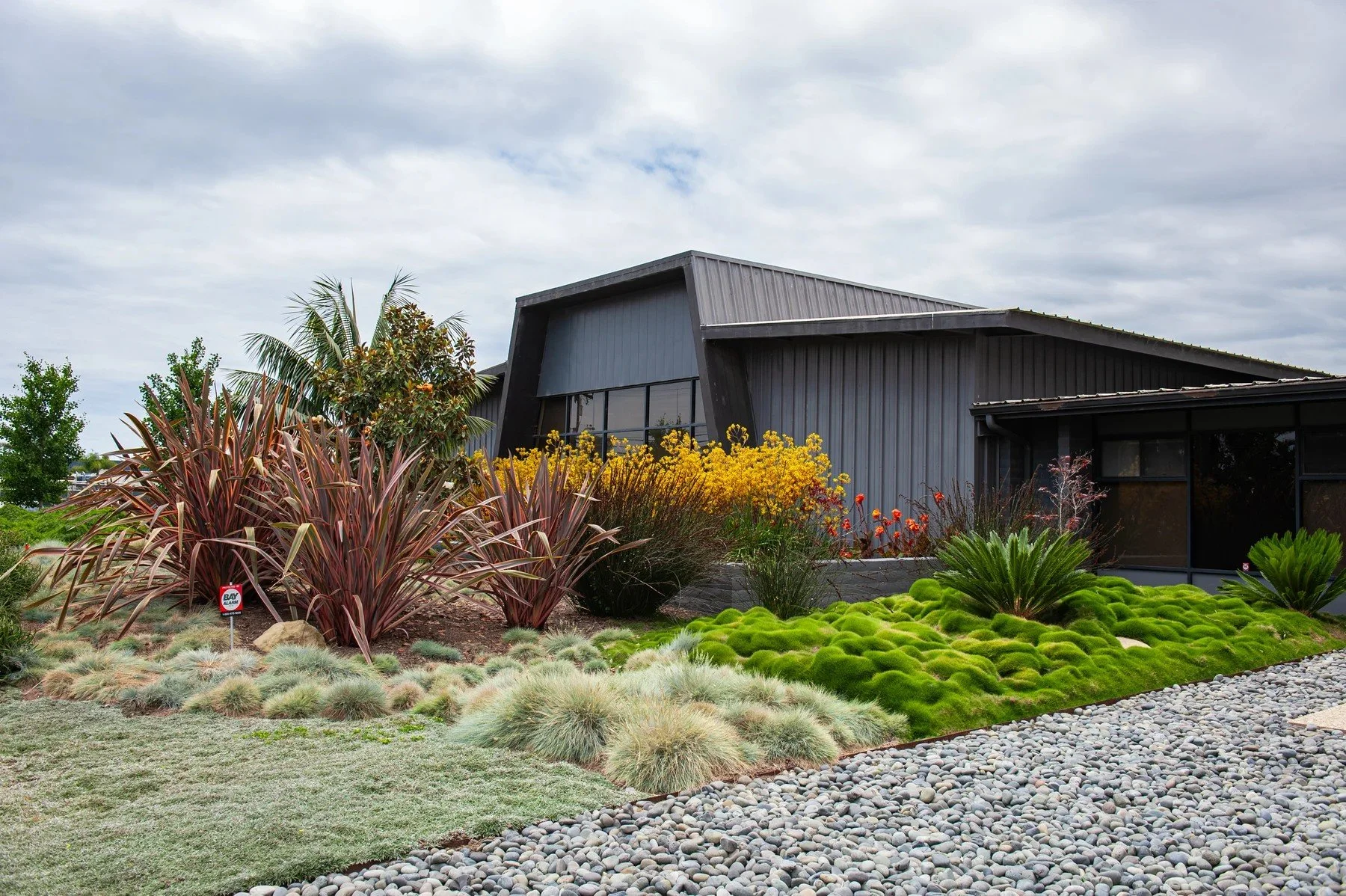 Layered grasses and rounded green groundcovers outside 601 Pine Avenue