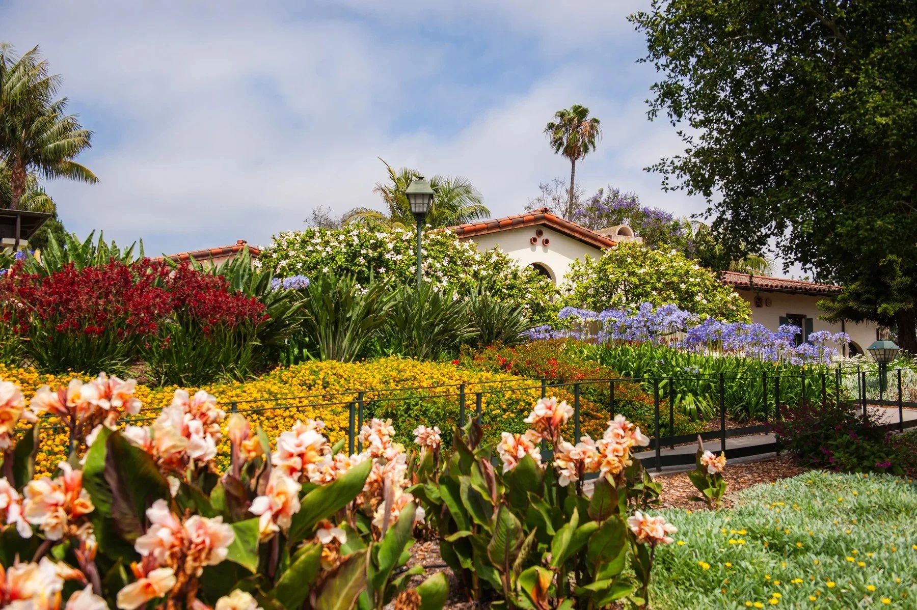 Peach, yellow, and purple flower borders beside residences at Samarkand