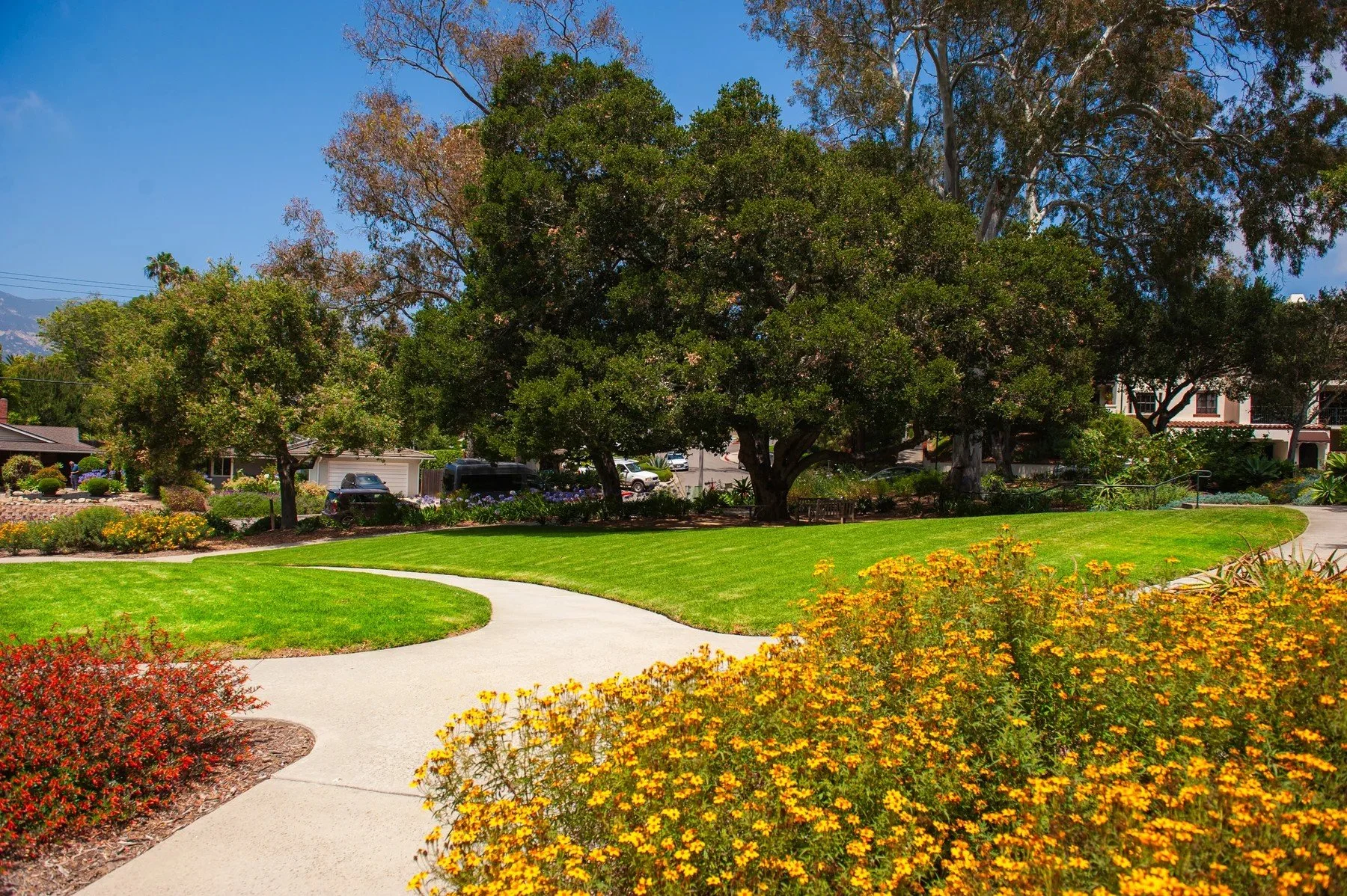 Yellow flower borders beside winding paths and open lawns at Samarkand