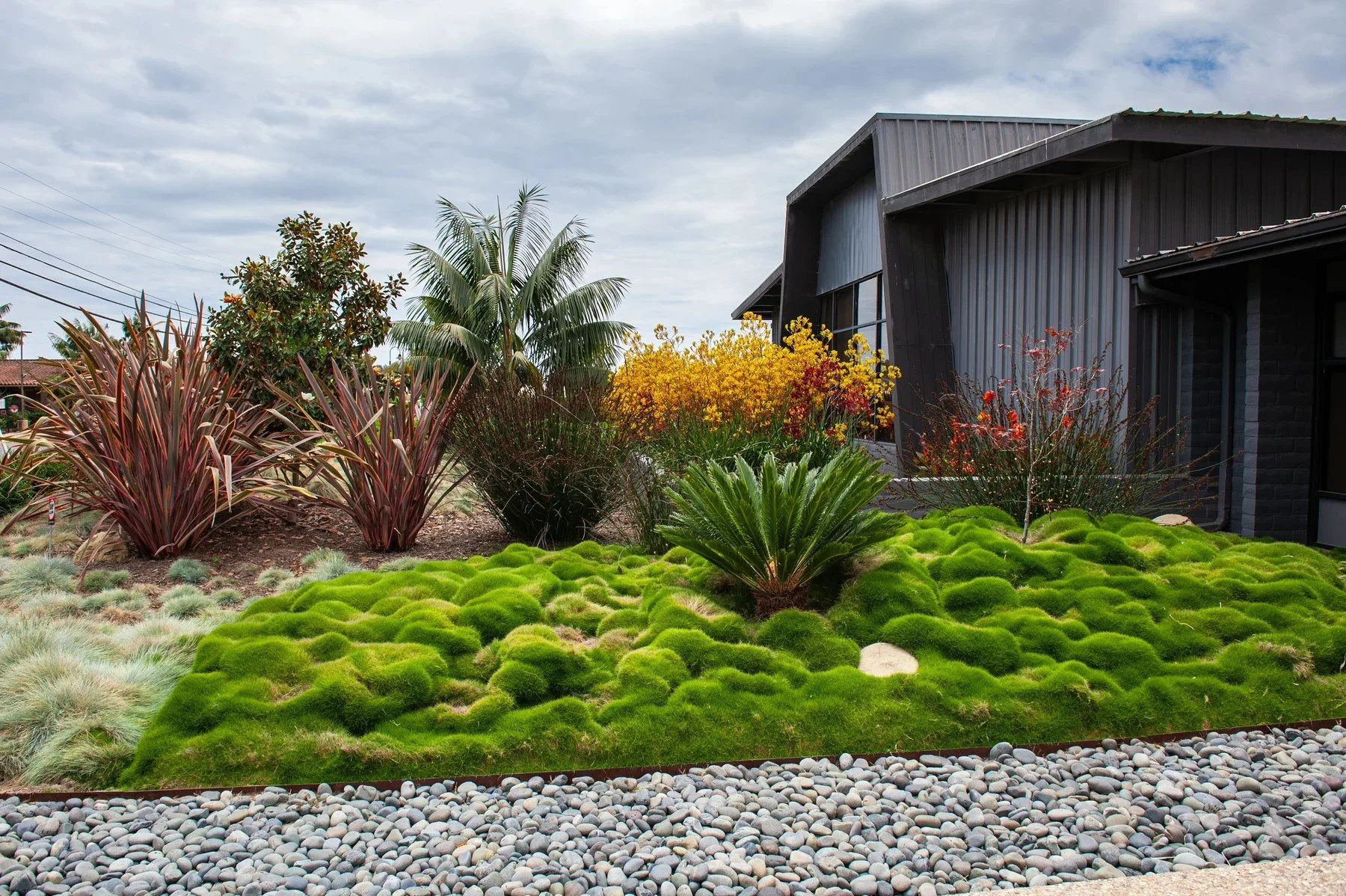 Sculptural plants and gravel edging alongside the building at 601 Pine Avenue