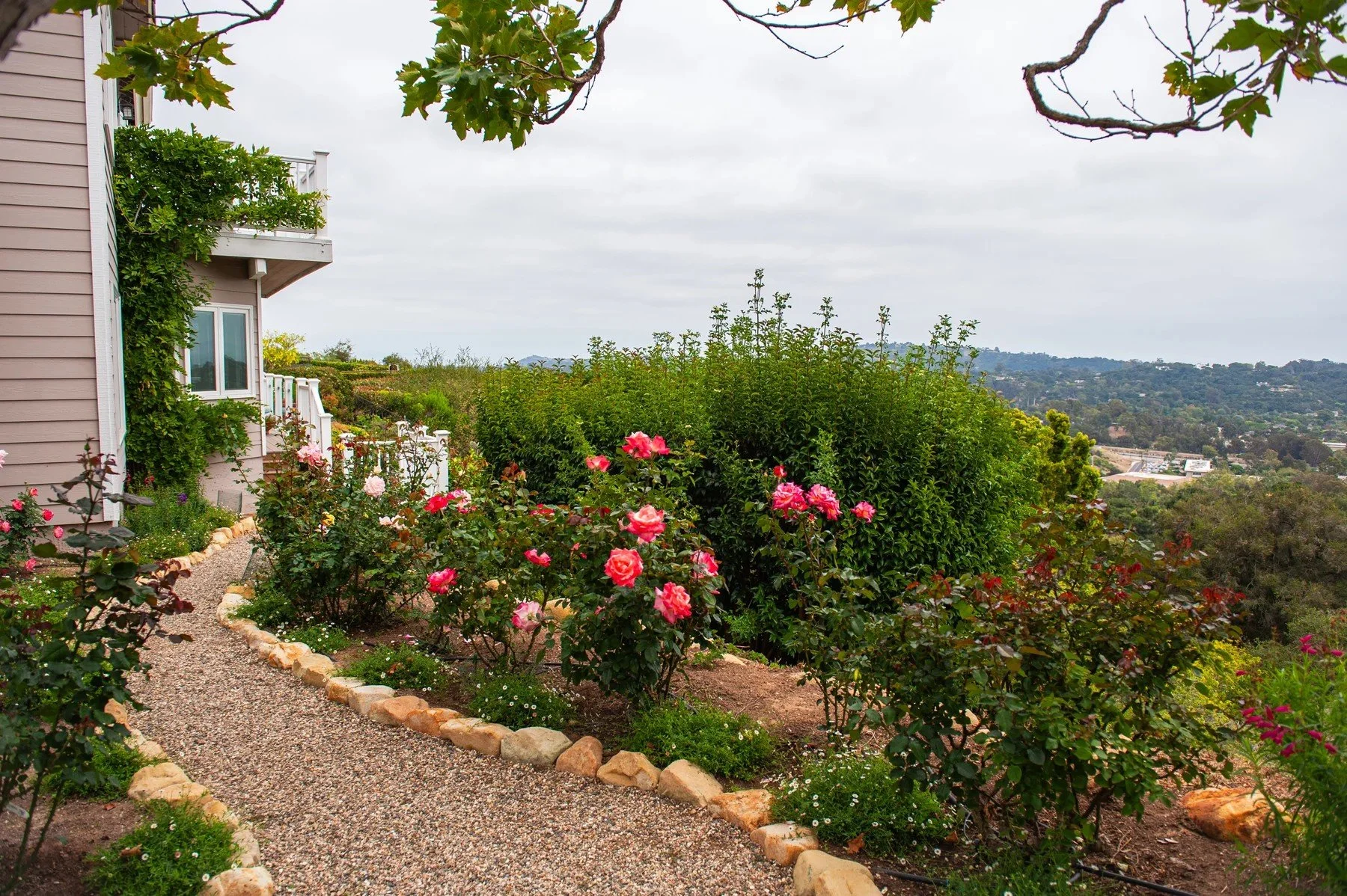 Pink roses and a rock-edged garden path overlooking the surrounding hills at Sierra Madre