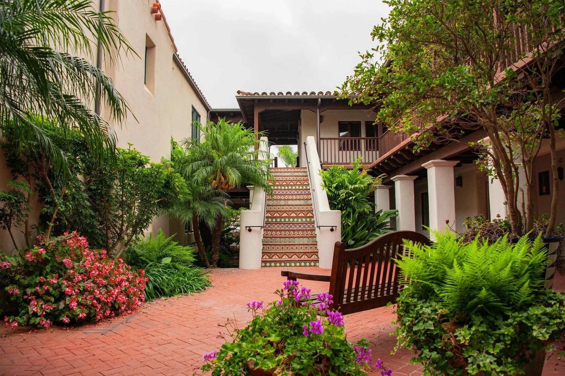 Courtyard planting beside a stairway at Maravilla