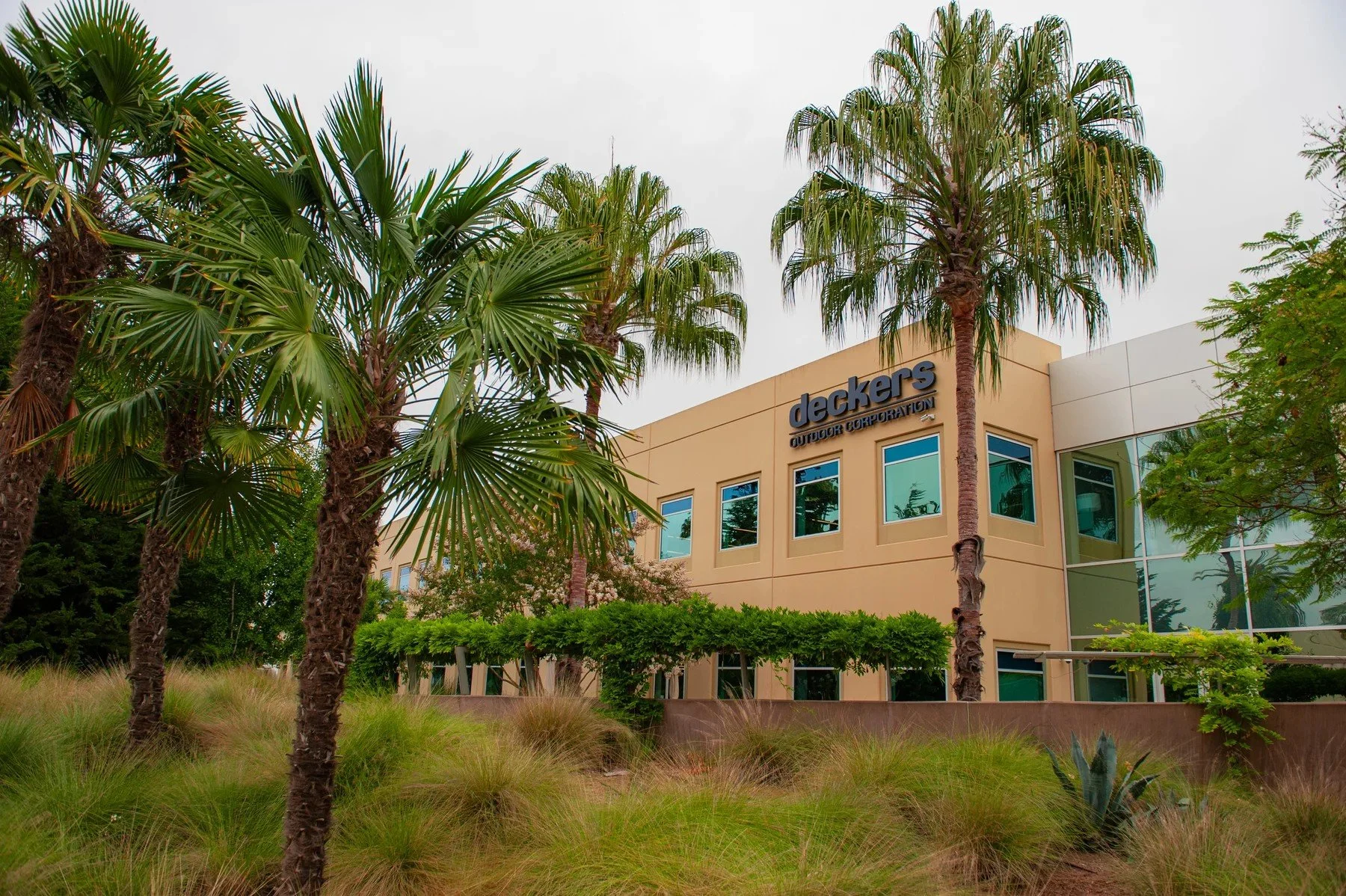 Palms and ornamental grasses framing a Deckers campus building