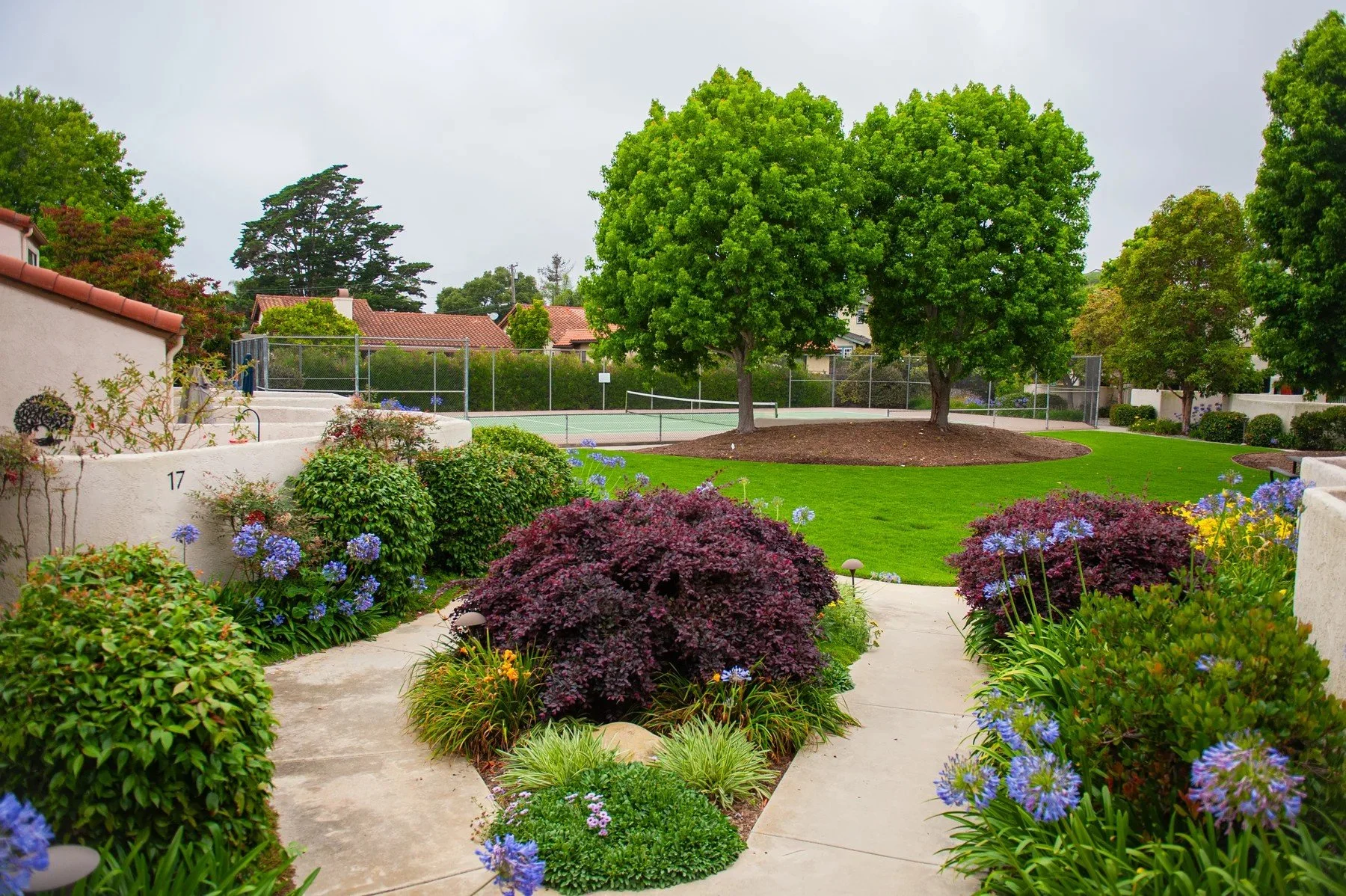 Layered shrubs and flowering borders along paths through Villa Mesa