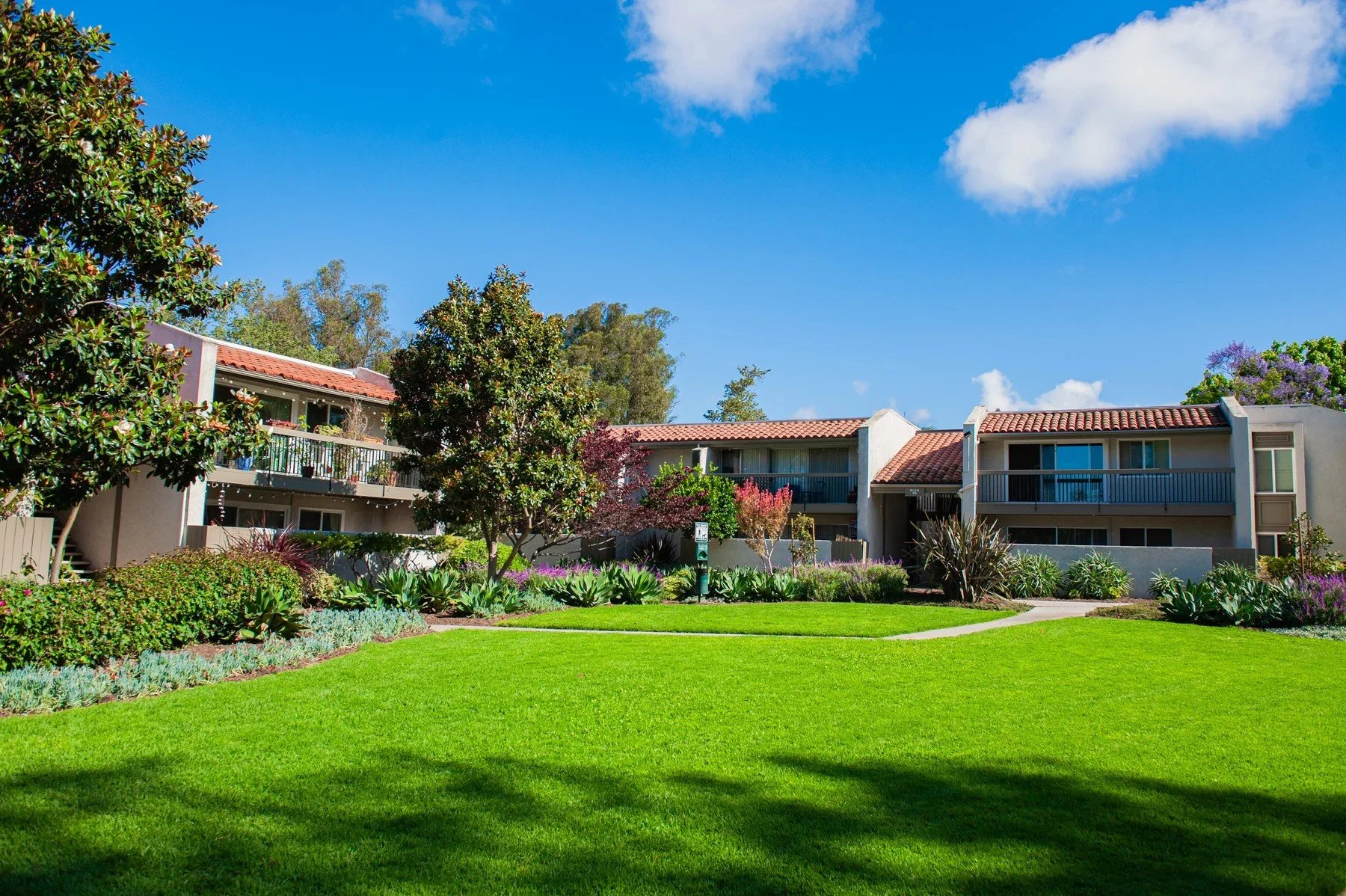 An open lawn and planted borders between residences at La Goleta