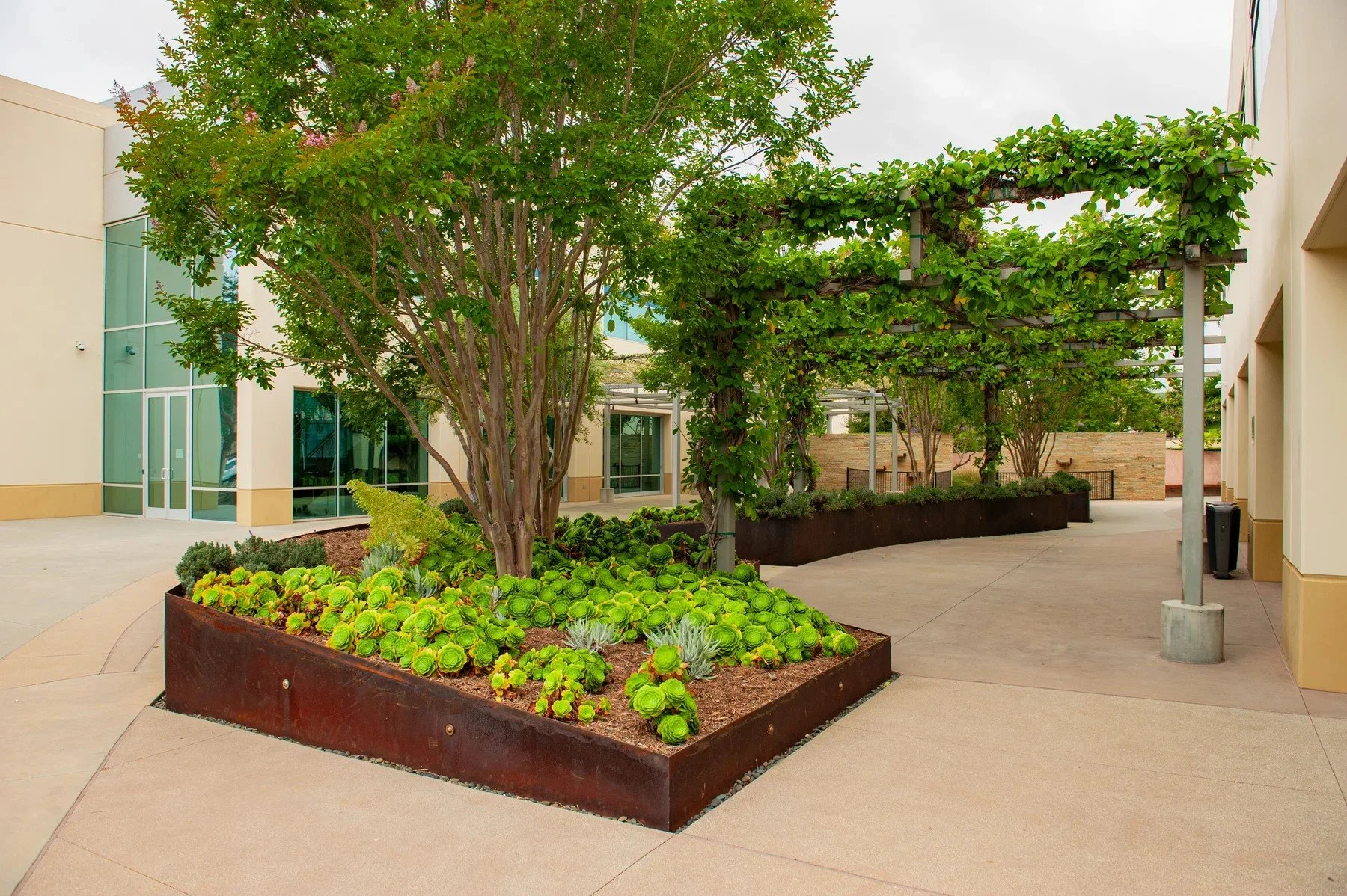 Raised planting beds and trees in a business park courtyard