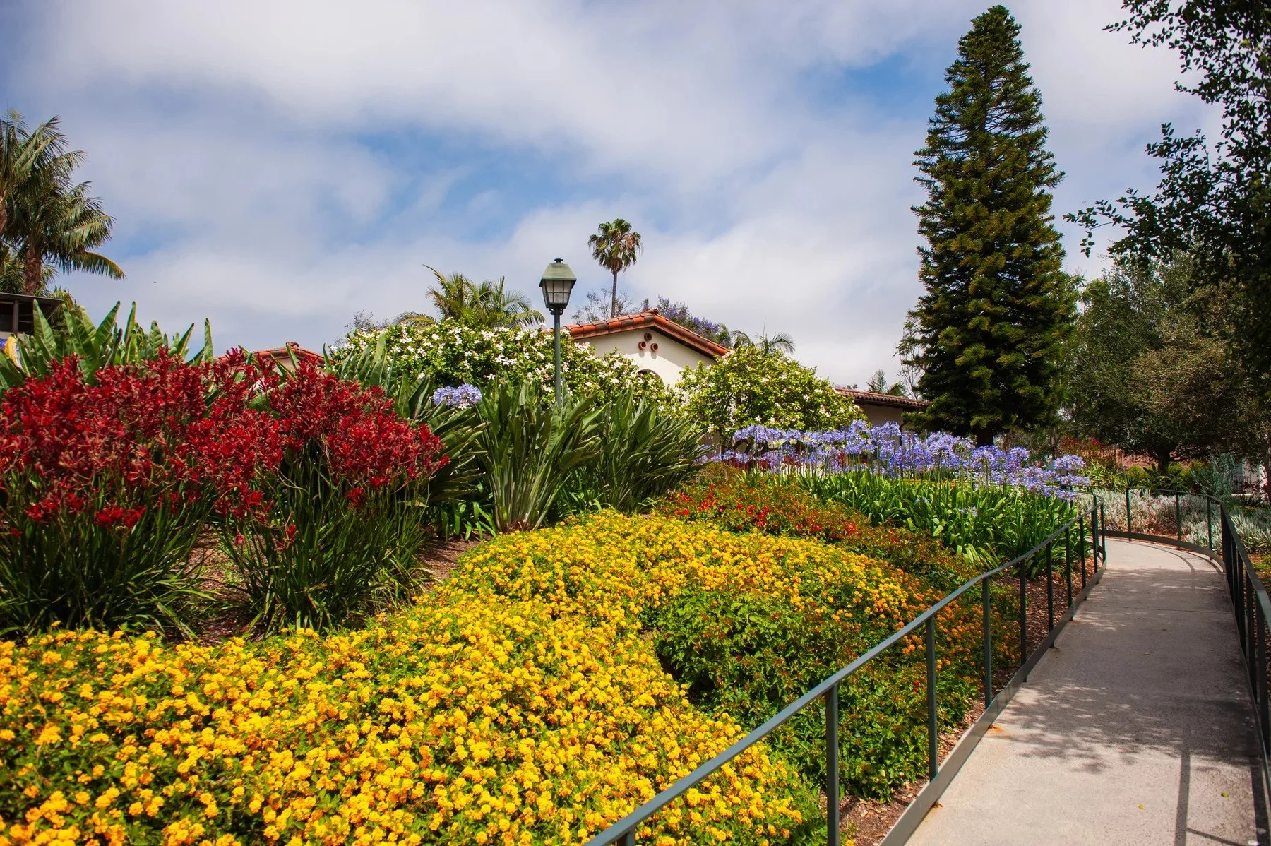 Yellow and purple flower beds lining an accessible garden path at Samarkand