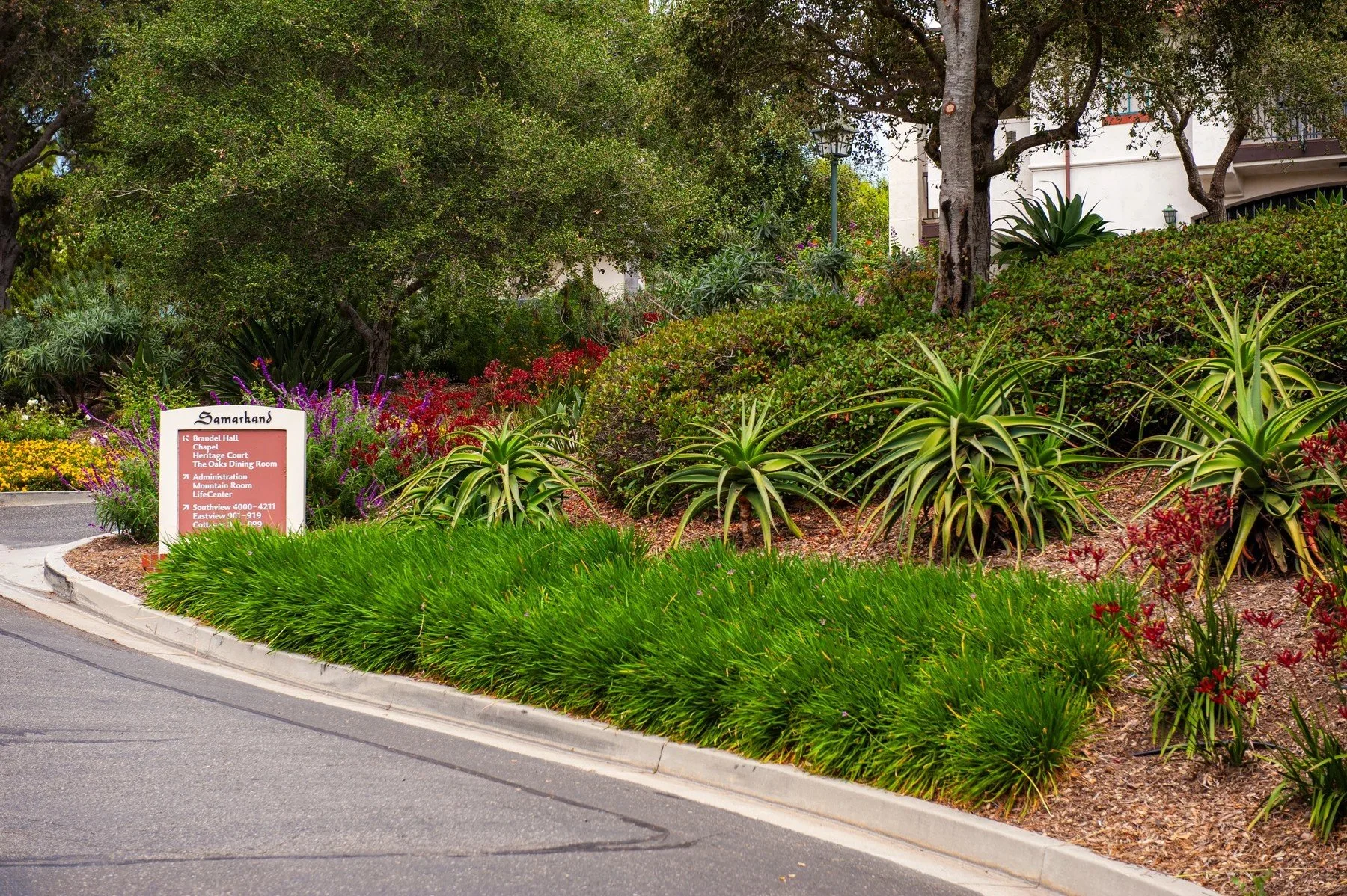 Layered grasses, flowering plants, and mature trees beside a Samarkand entrance sign