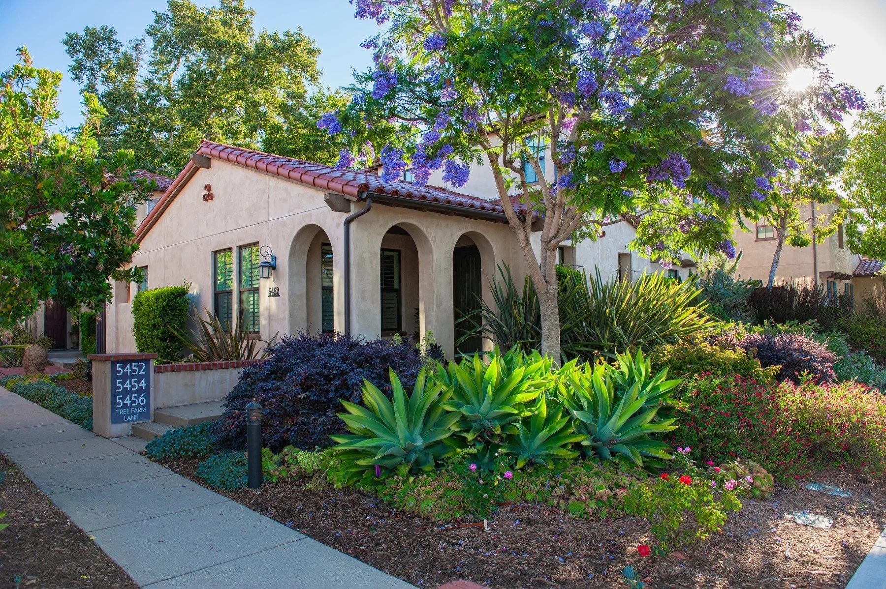 Flowering jacaranda and agave planting outside a Tree Farm residence