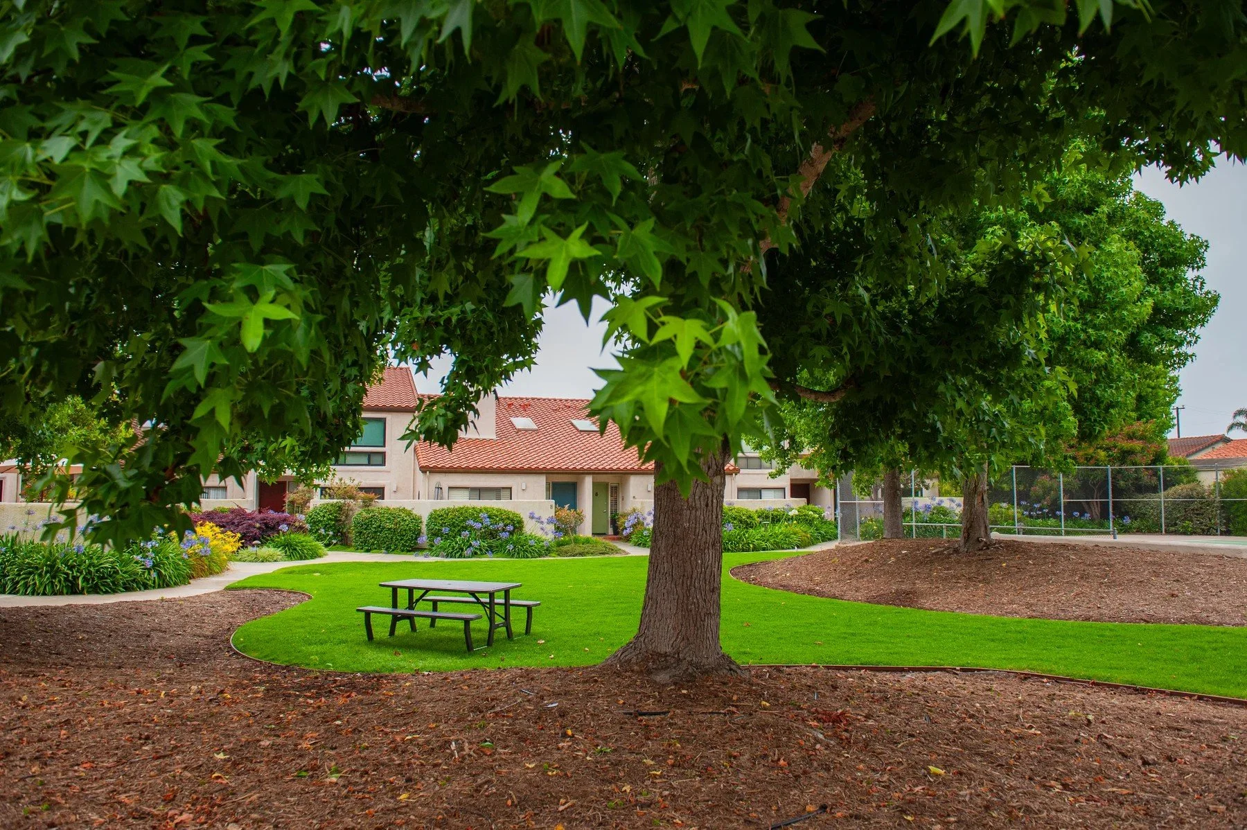 Outdoor seating beneath a broad shade tree at Villa Mesa