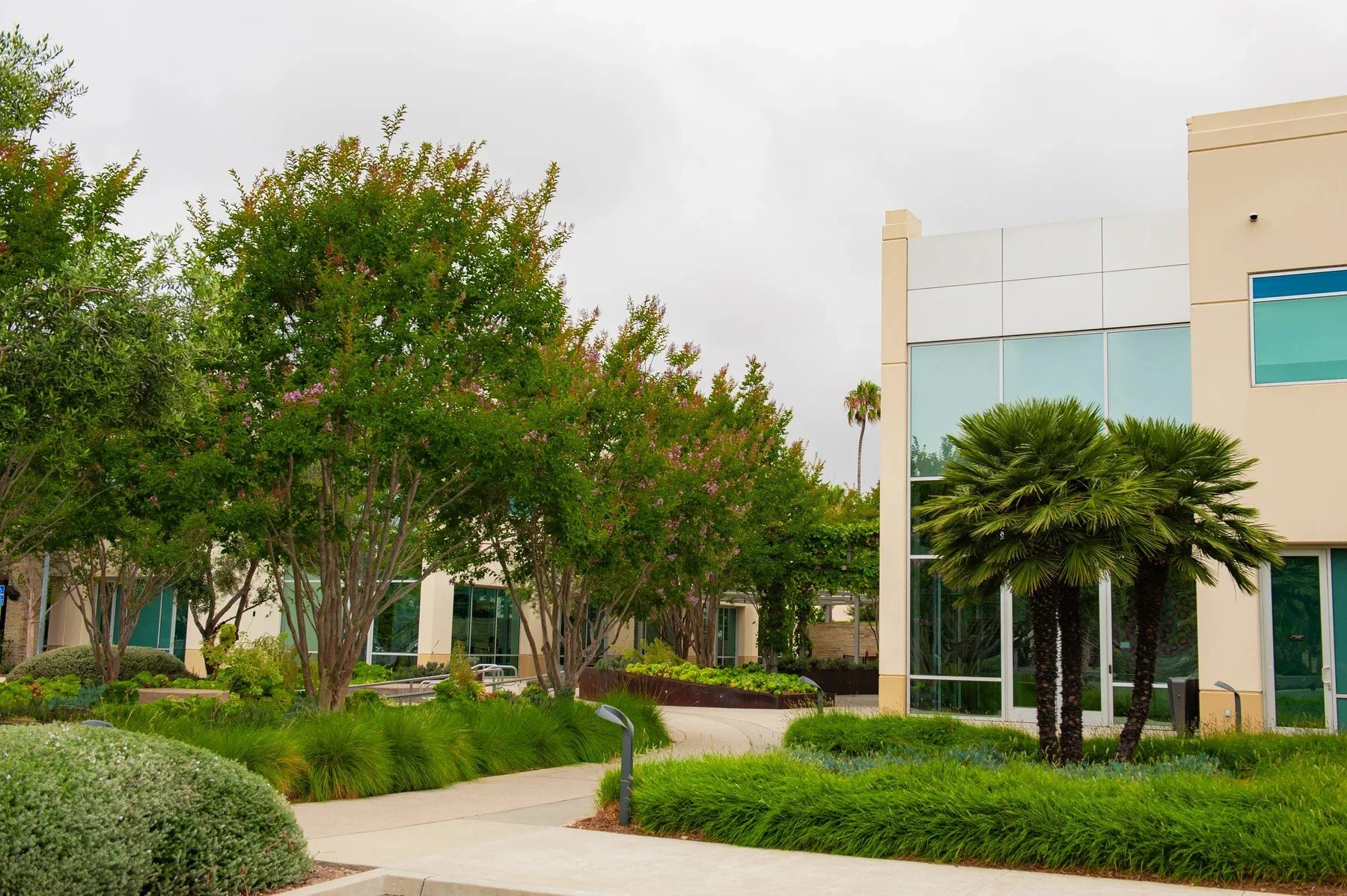 Landscaped walkway between buildings at Cabrillo Business Park