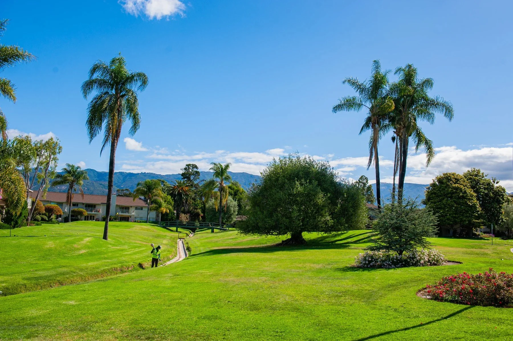 Open lawns, palms, and mountain views across the grounds at Encina Royale