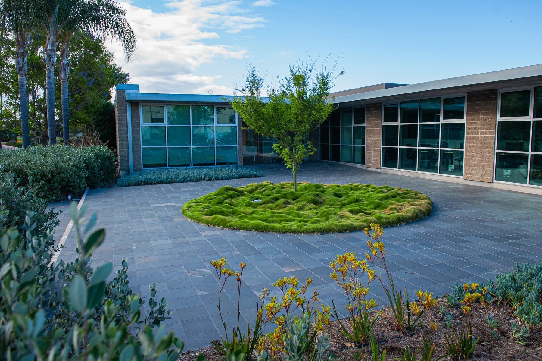A circular green planting bed in the courtyard at 111 Castilian Drive