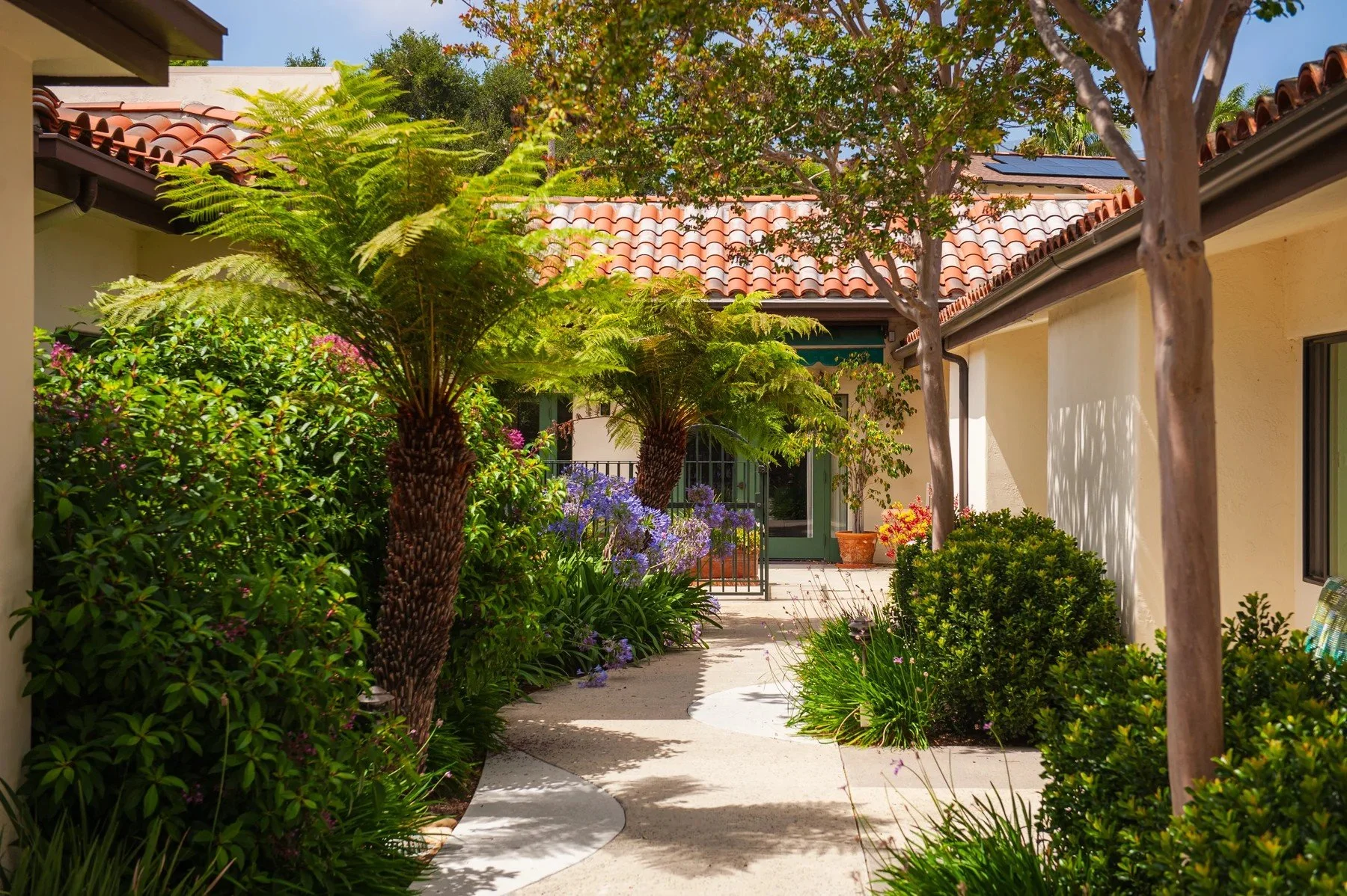 Garden walkway with a fern tree and colorful flowers at Samarkand