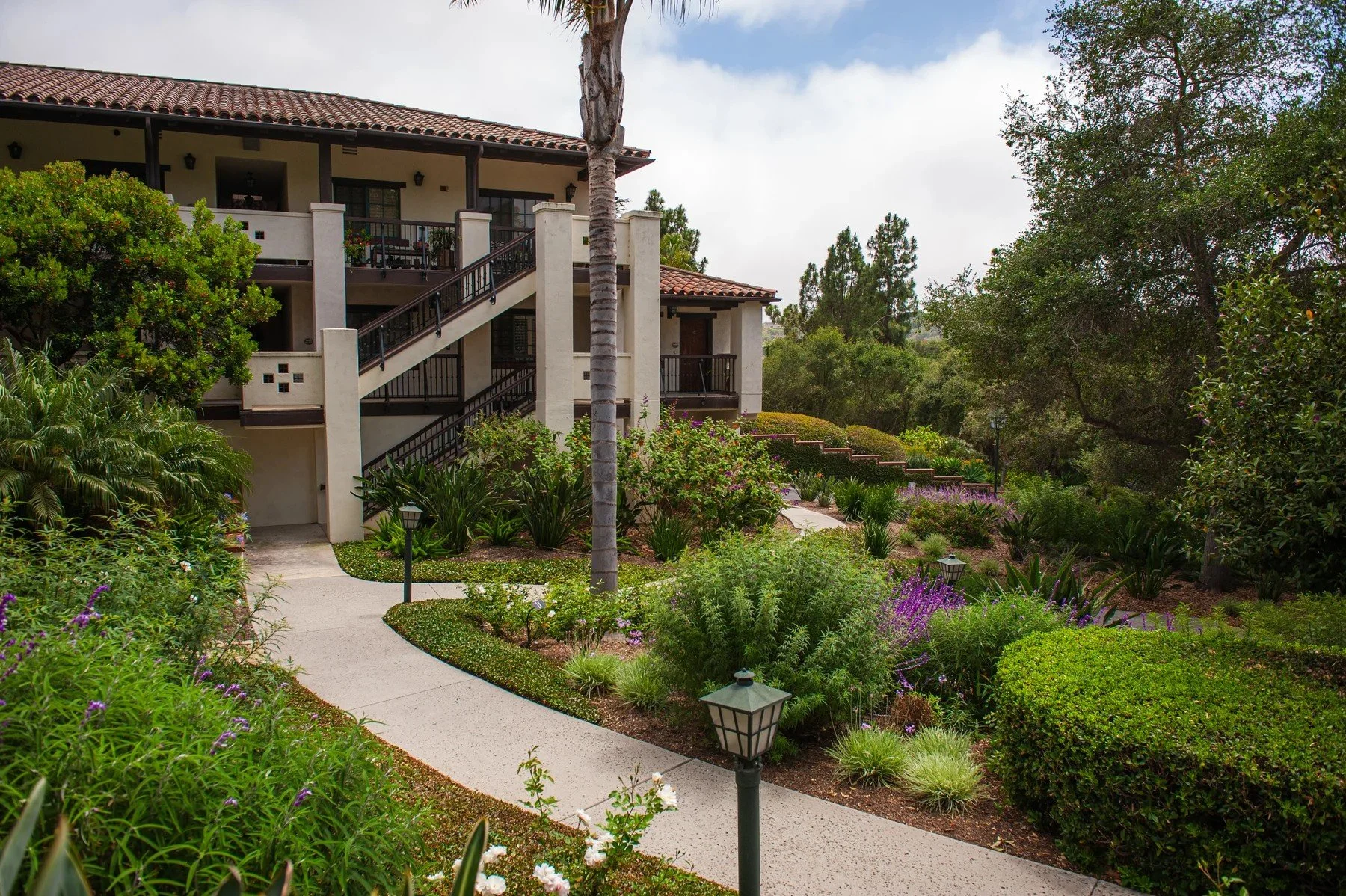 A winding walkway through palms and planted borders beside Samarkand residences