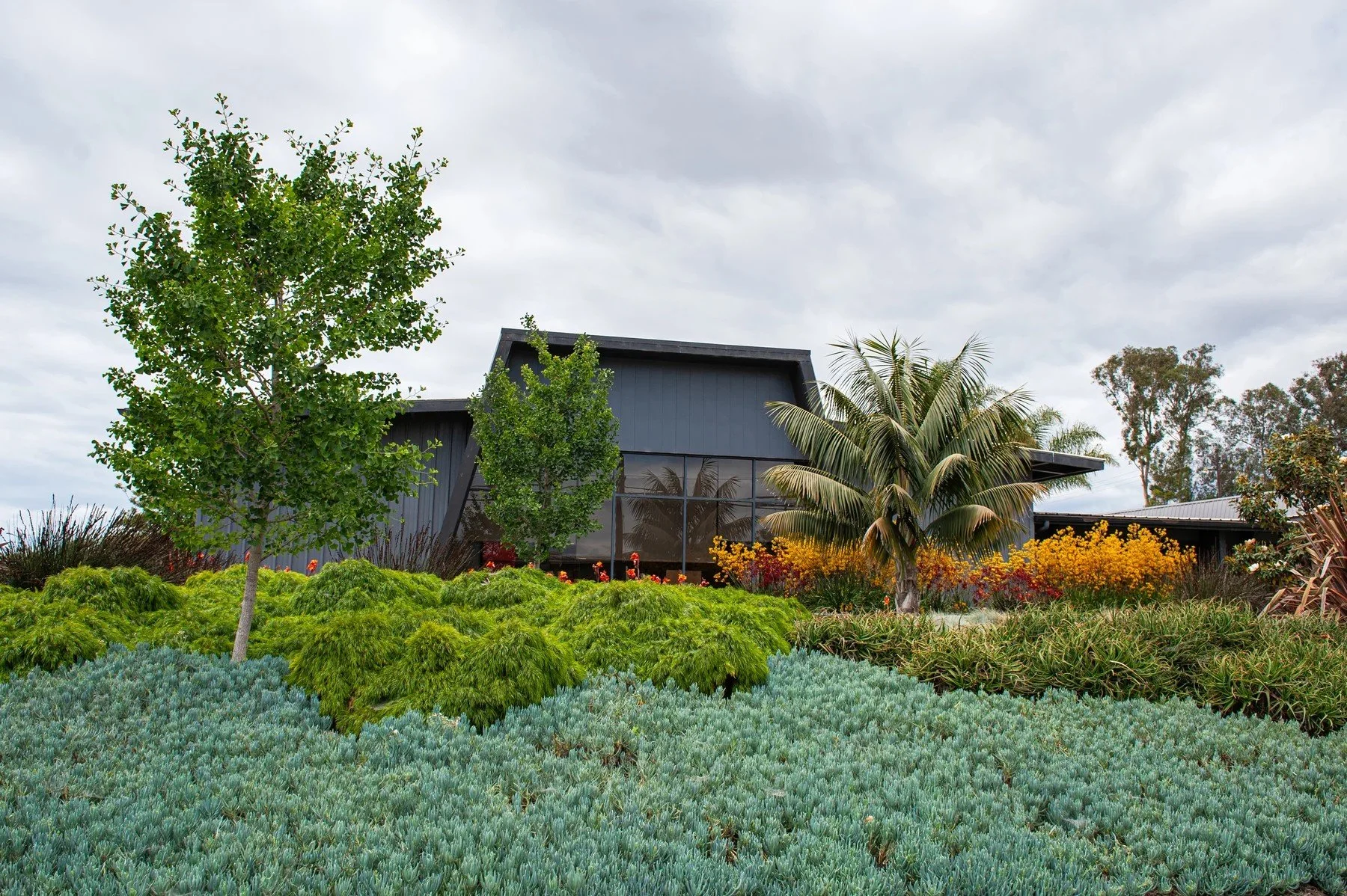Silver groundcover and green shrubs below trees at 601 Pine Avenue