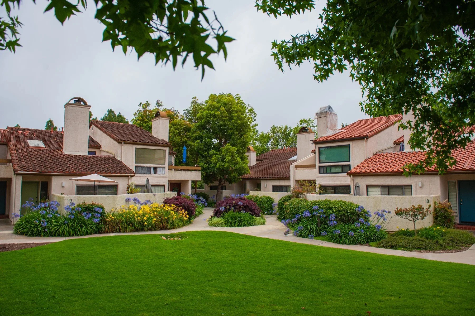 Shared green lawn and flowering beds framed by homes and mature trees at Villa Mesa