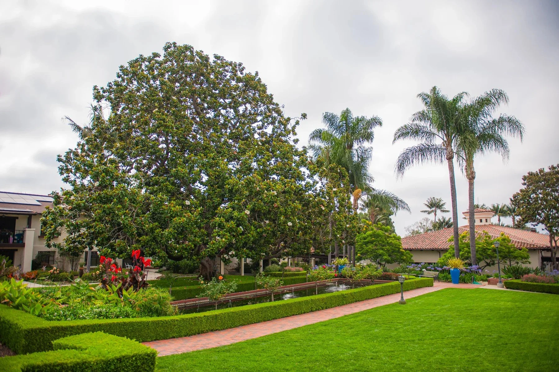 Broad lawns and formal hedges beneath a mature tree in the Samarkand gardens