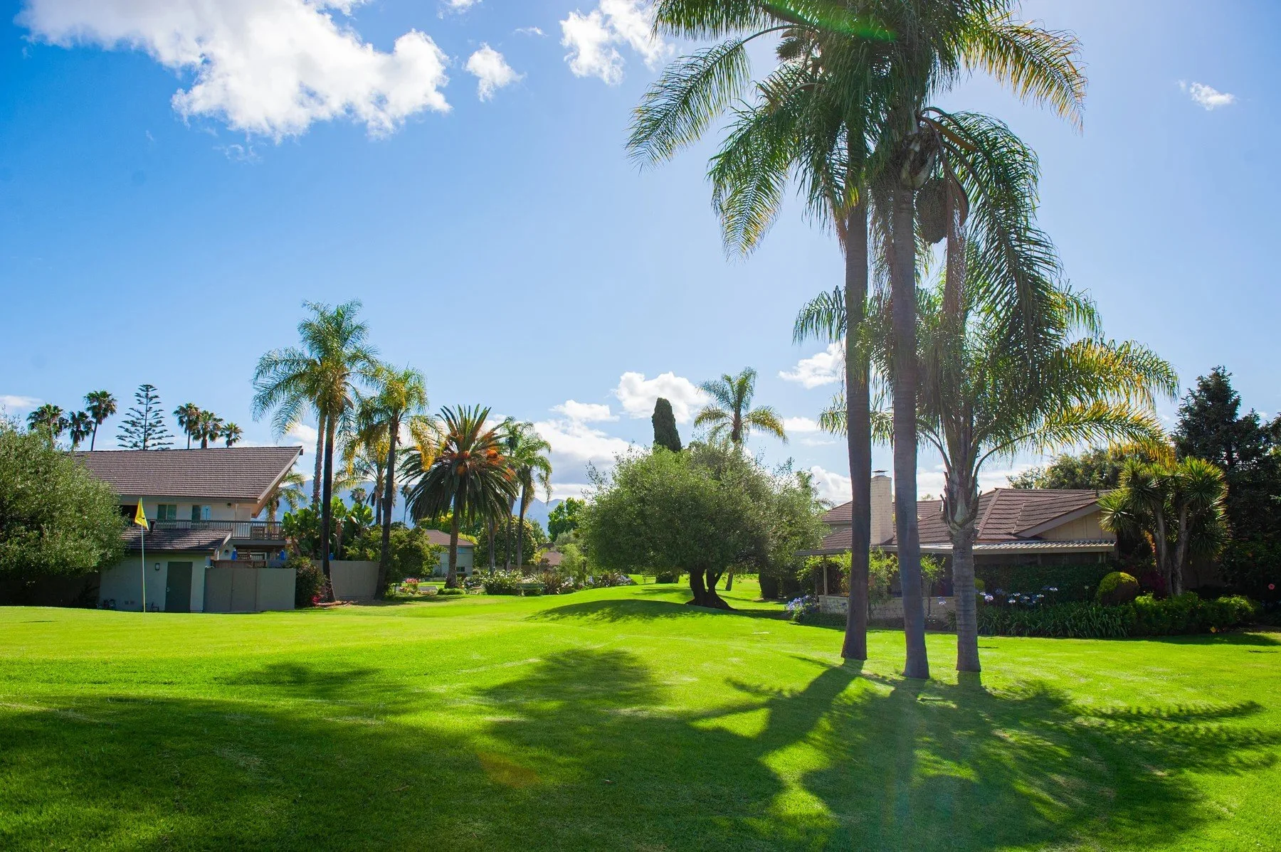 Palms and sunlit green lawns at Encina Royale