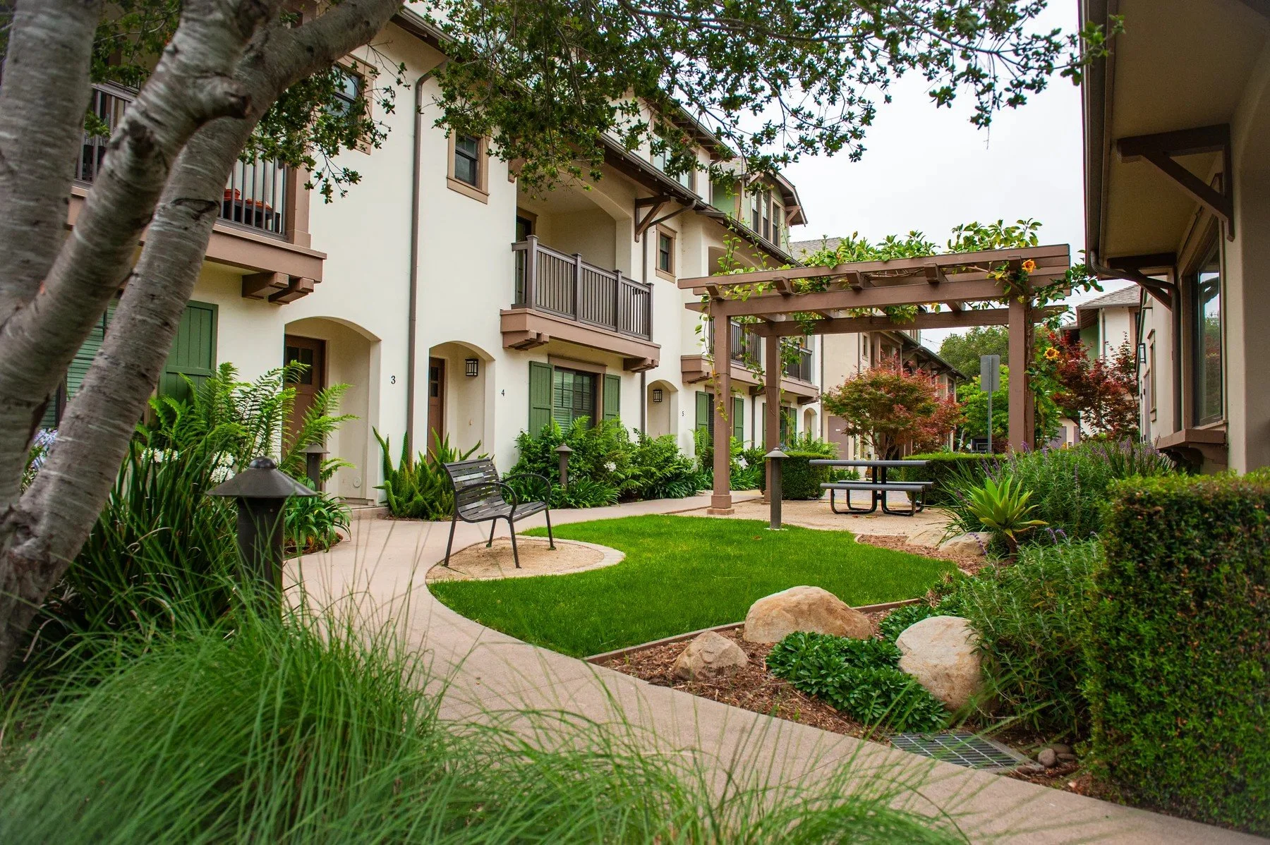 A curving path, lawn, and planted courtyard beneath trees at Tejado Grove