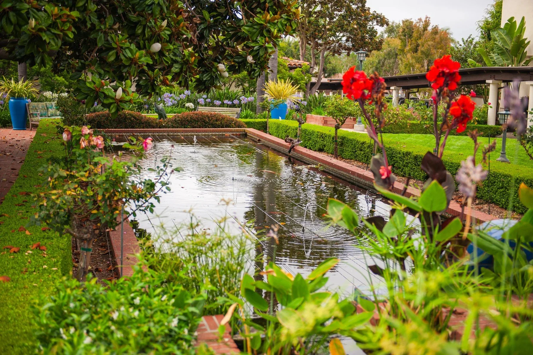 Roses and planted borders framing the reflecting pond at Samarkand