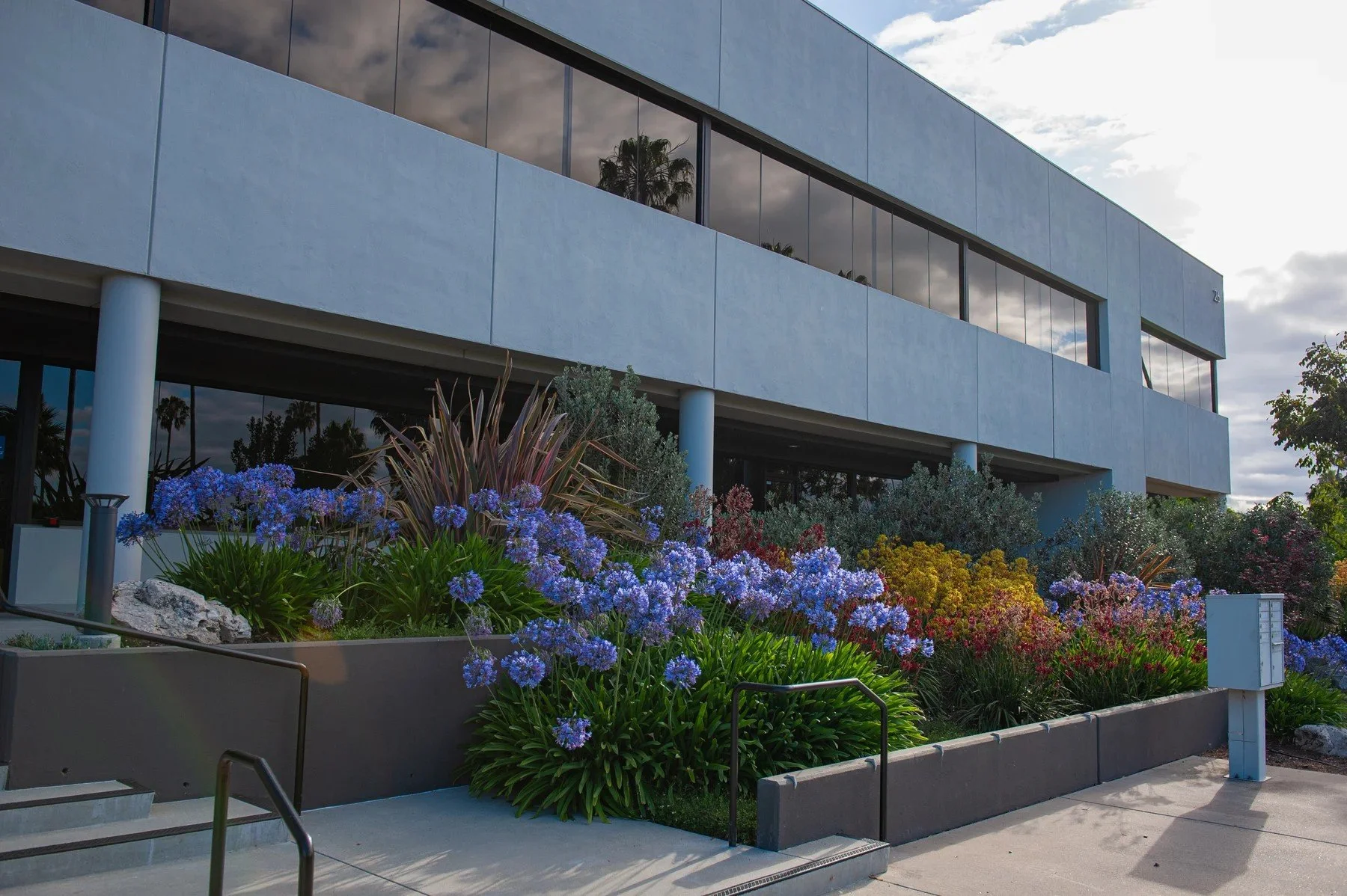 Flowering beds and layered planting beside the steps to 26 Castilian