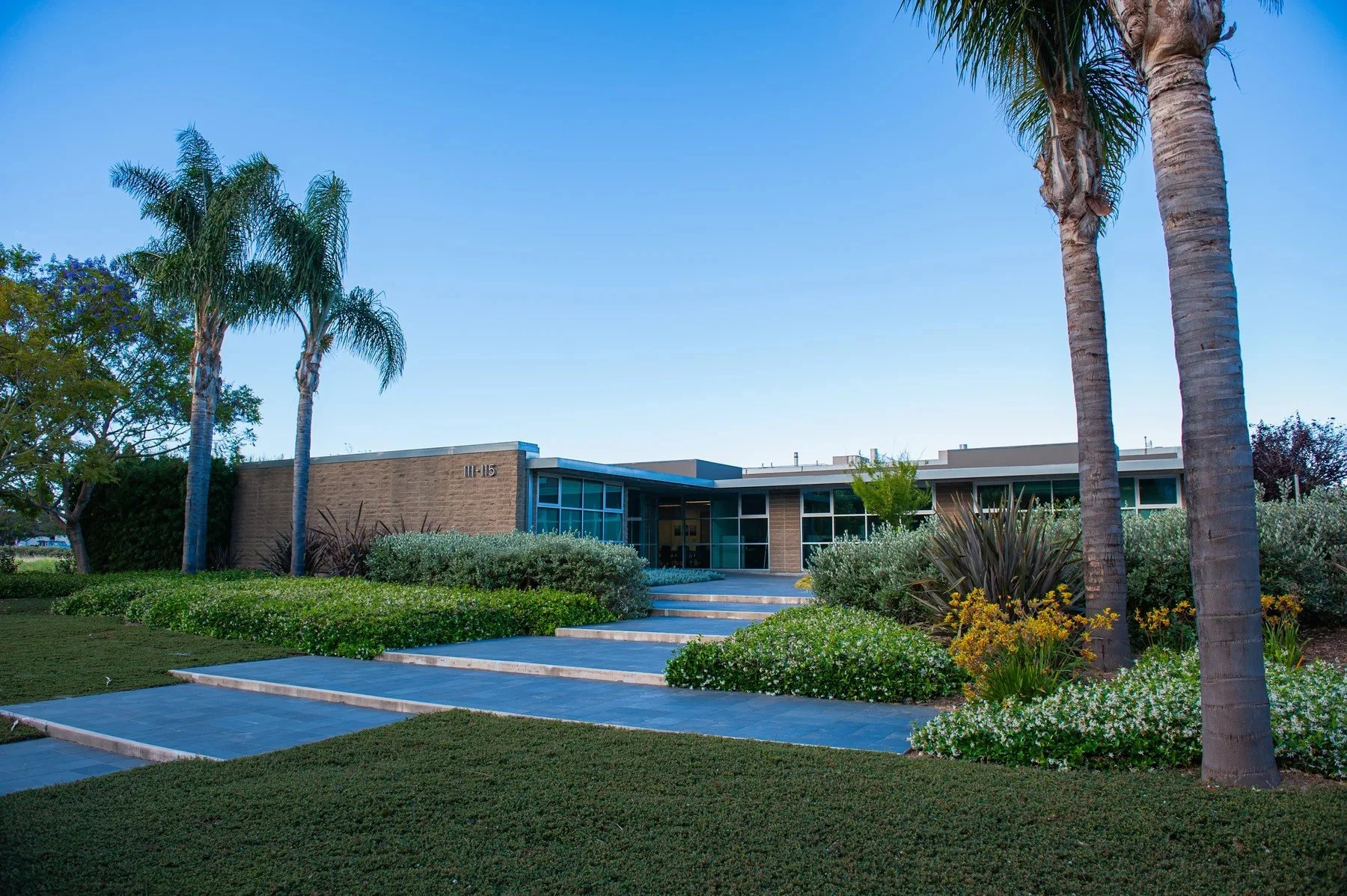 Palms framing the landscaped approach to 111 Castilian Drive