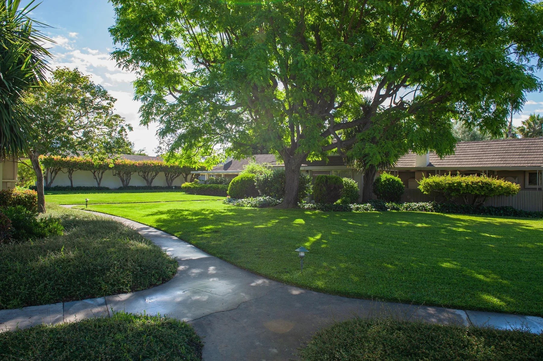 Shaded paths and lawn beneath a mature tree at Encina Royale